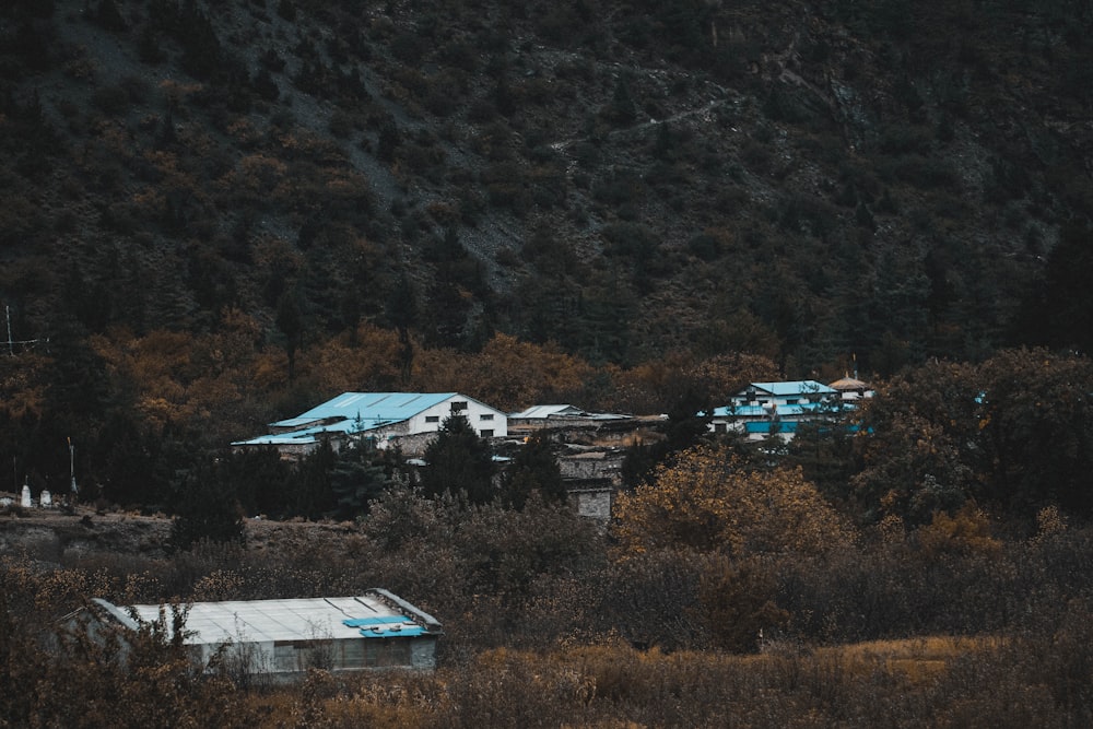 a group of buildings sitting in the middle of a forest