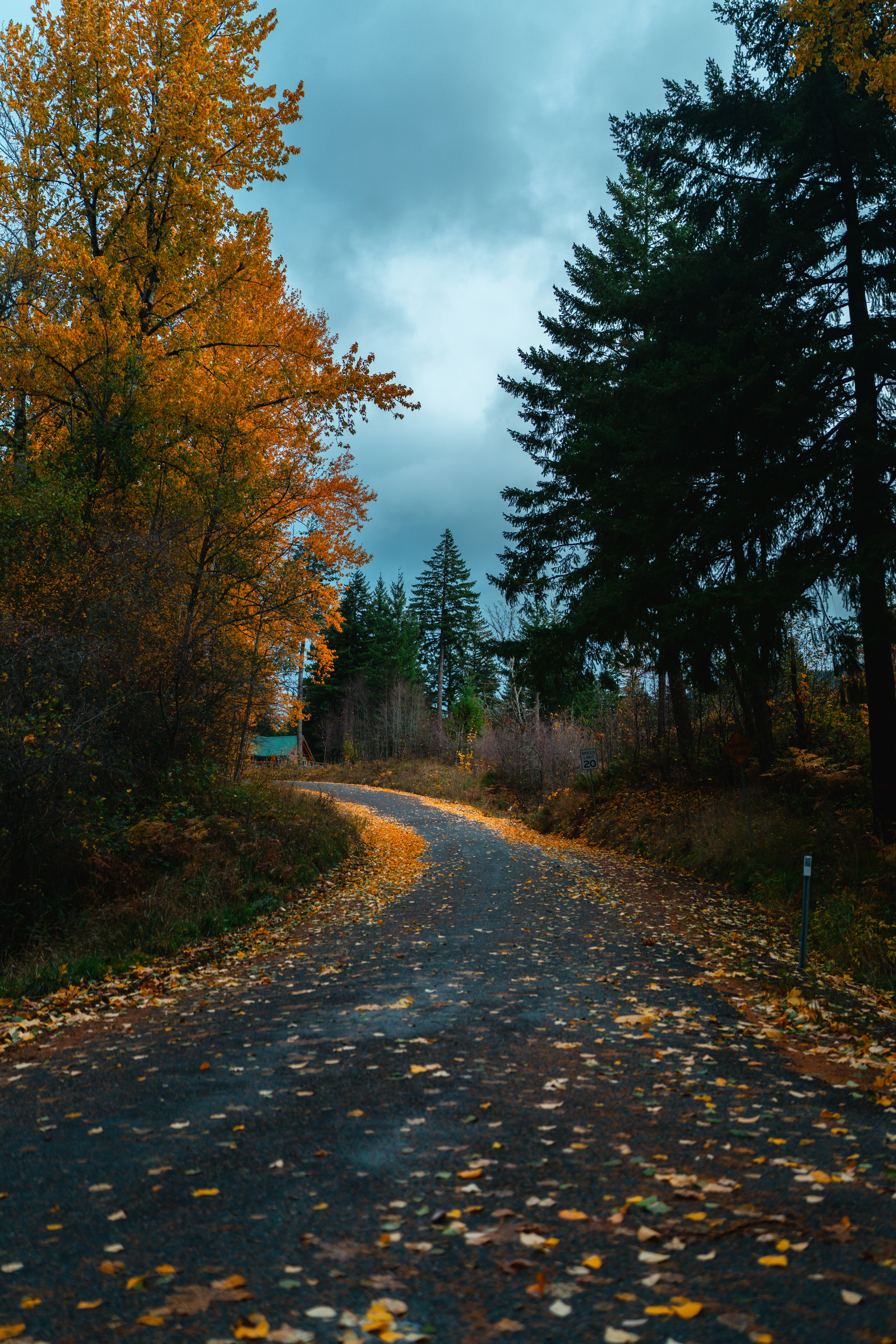 Photo by vasupendyalaa