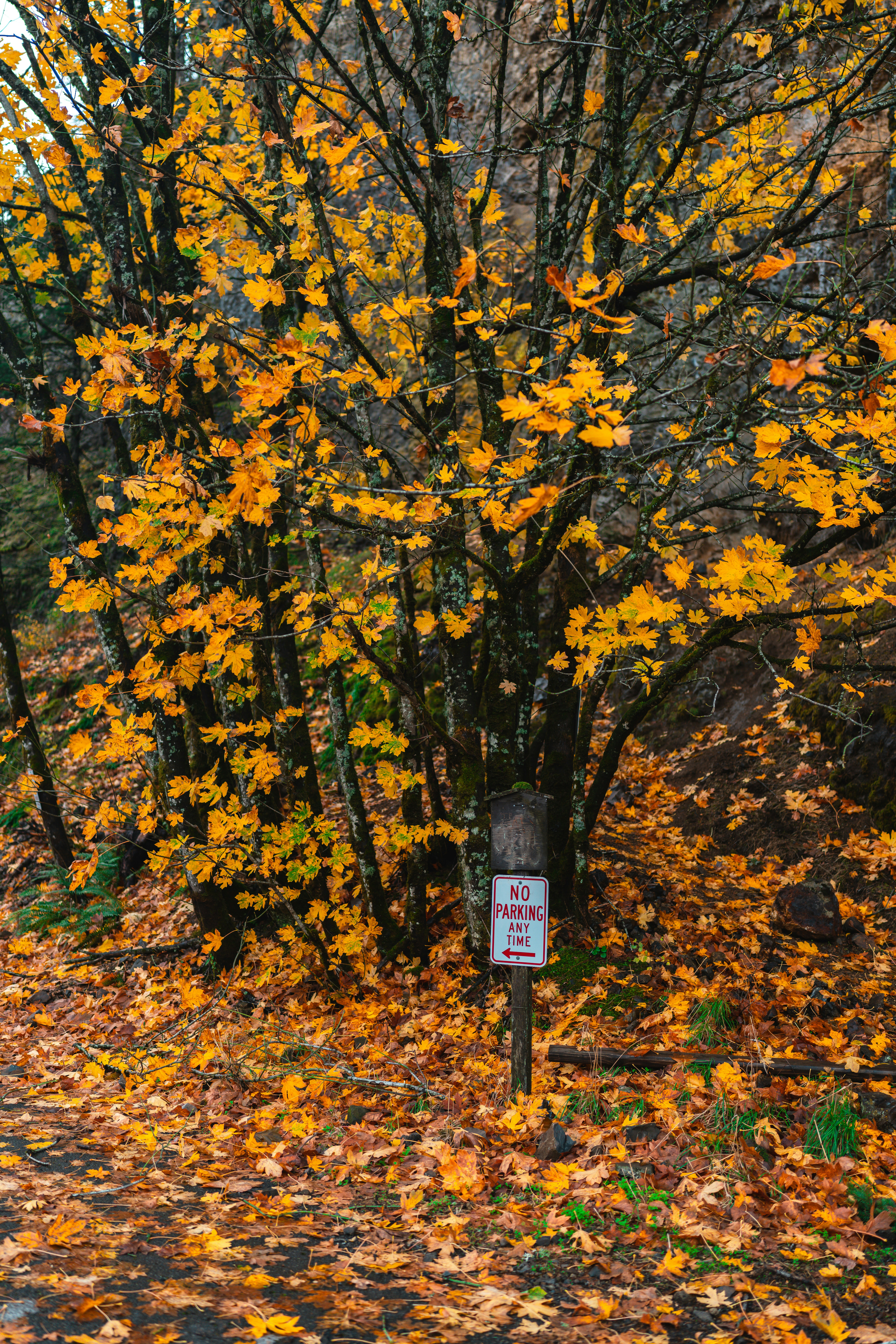 Photo by vasupendyalaa