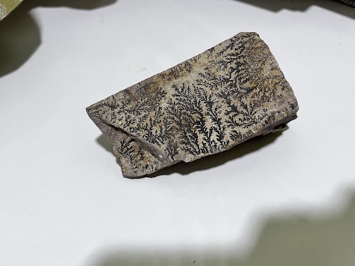 A jagged rock with intricate black patterns resembling fern or leaf-like formations is set against a plain white background. The patterns create an organic, artistic design across the rough surface of the stone, showcasing natural mineral formations.