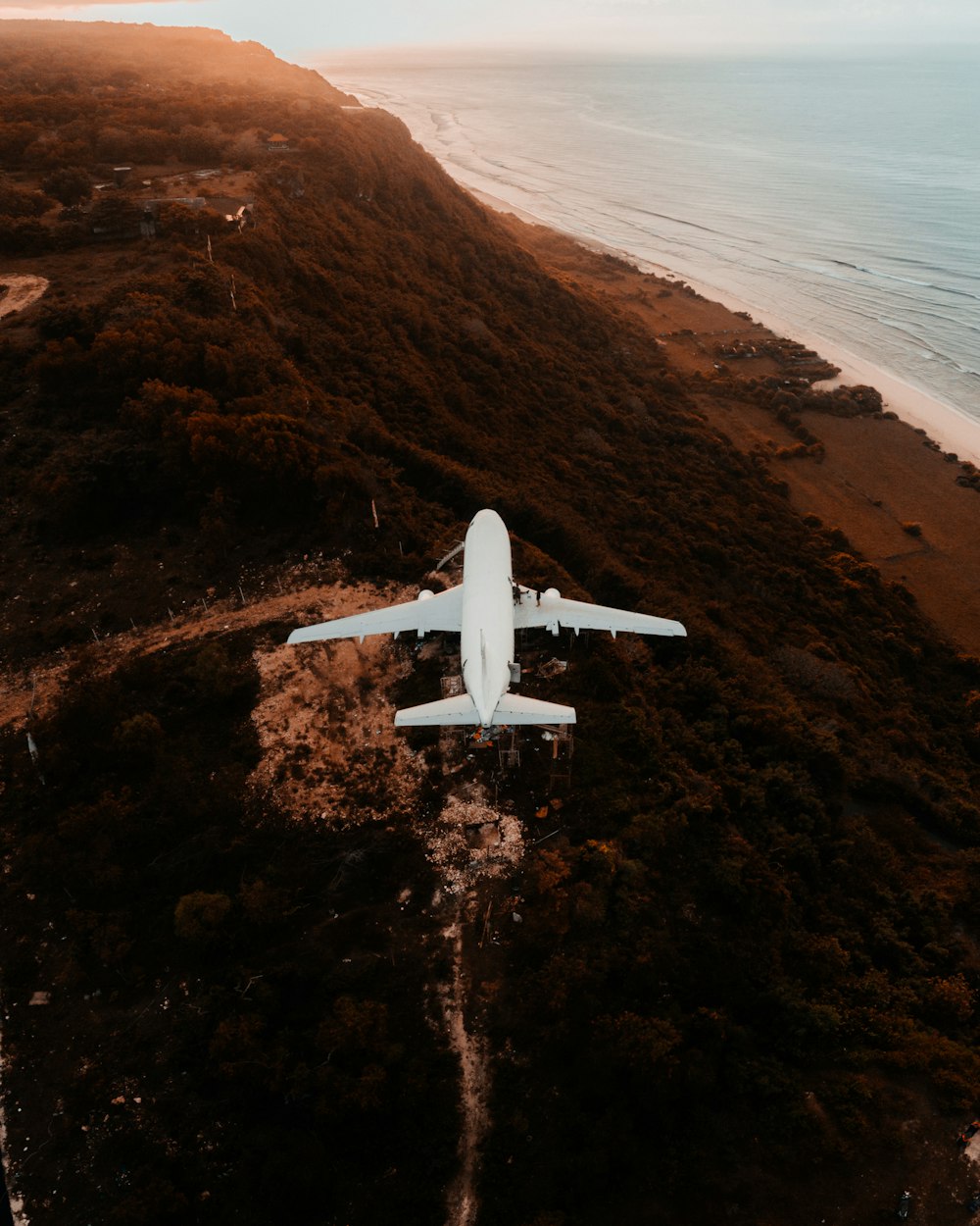 an airplane is flying over a grassy area near the ocean