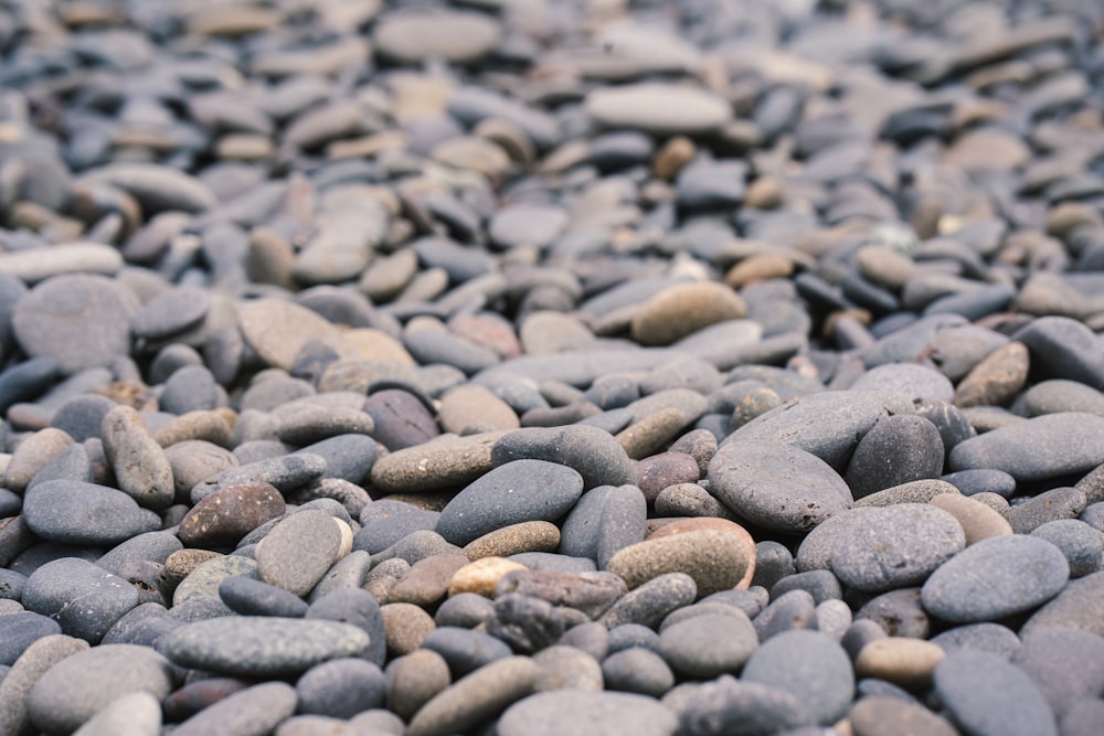 a bunch of rocks that are laying on the ground