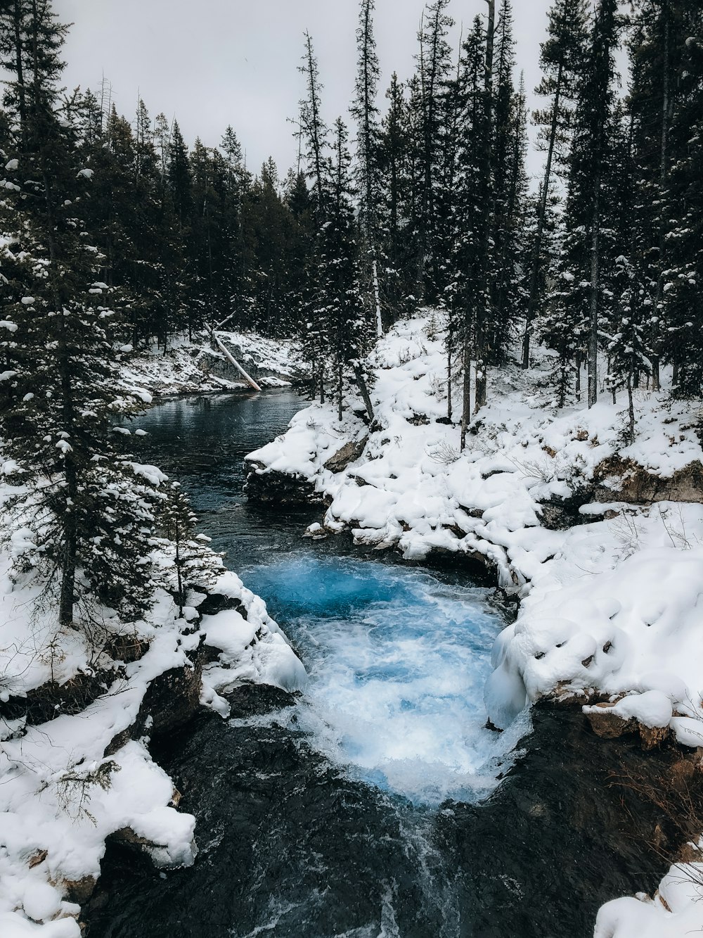 a river running through a snow covered forest