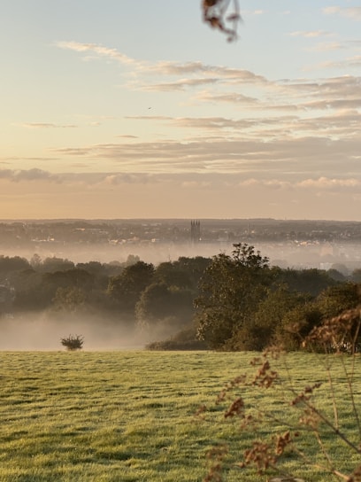 a foggy field with trees and buildings in the distance