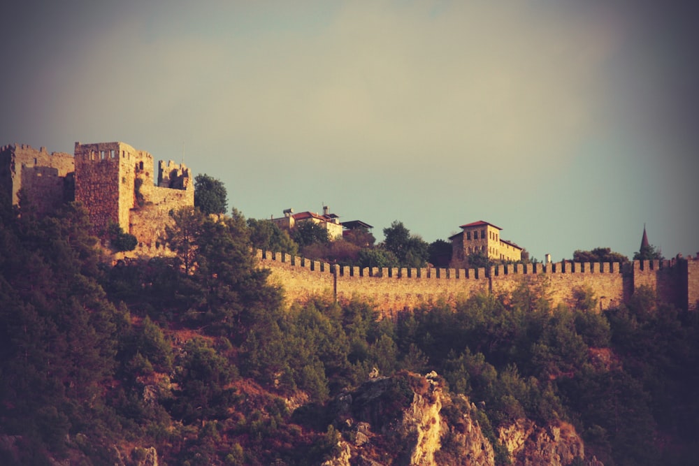 a castle on top of a hill with trees on it