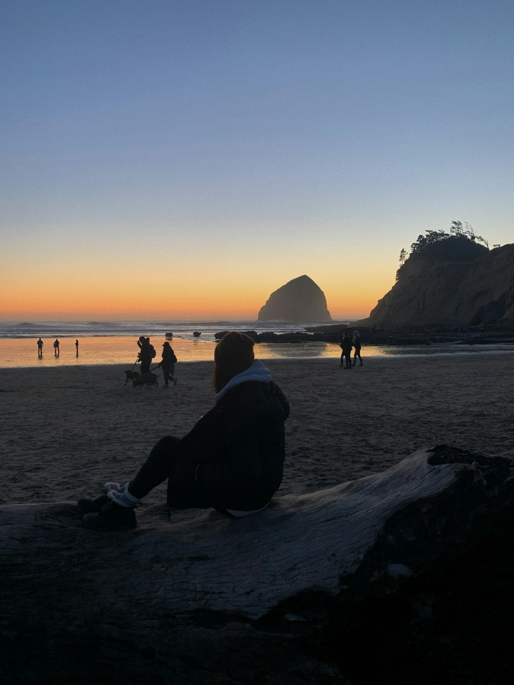 a man sitting on a log at the beach