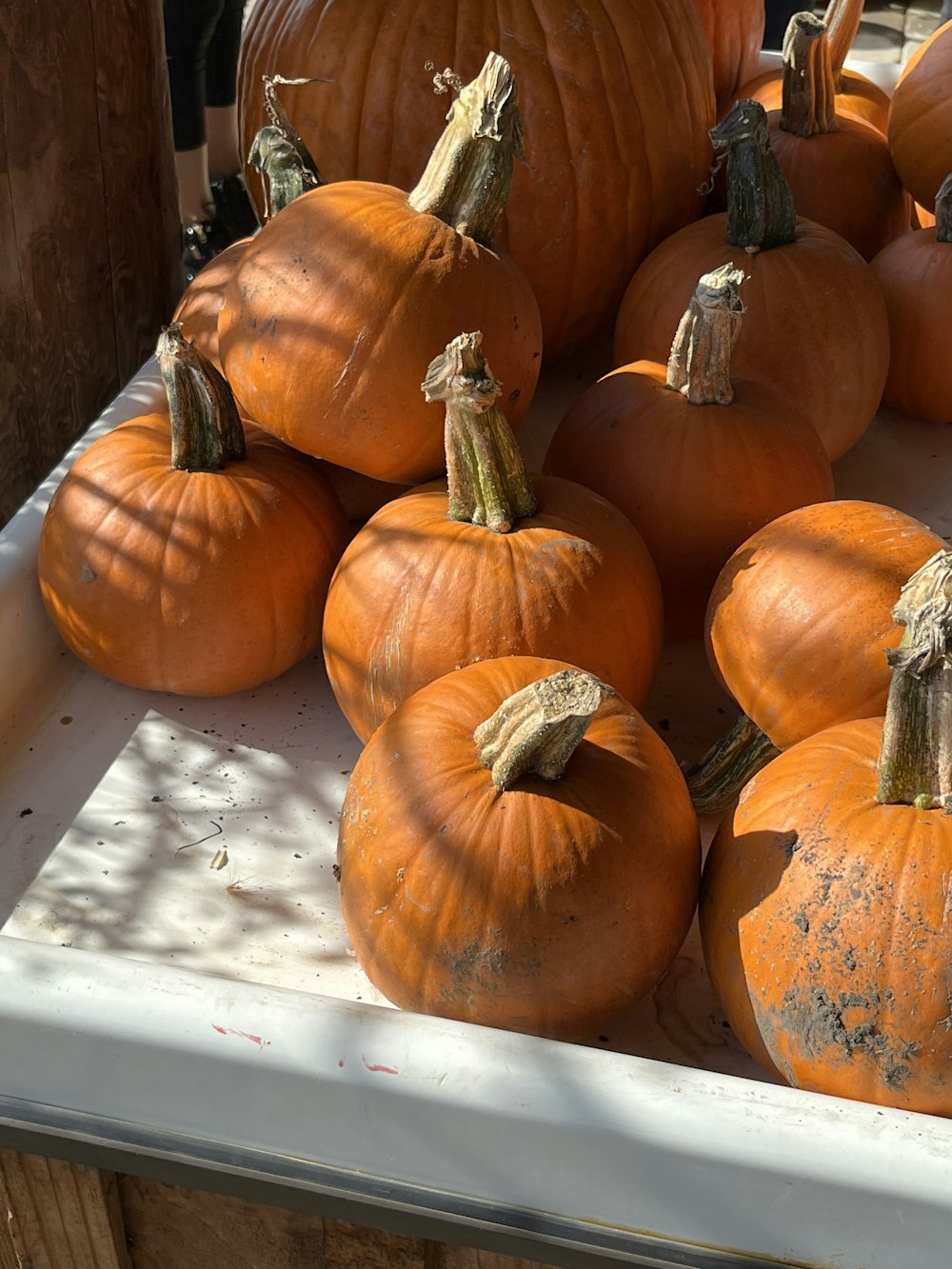 a pile of pumpkins sitting on top of a white tray