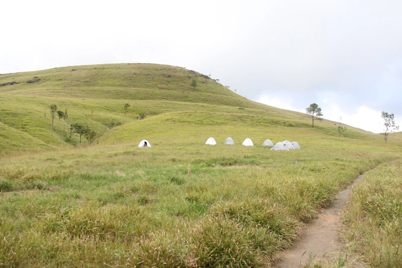 Best Glamping Spots Near Shillong for a Night Under the Stars