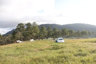 a group of tents set up in a field