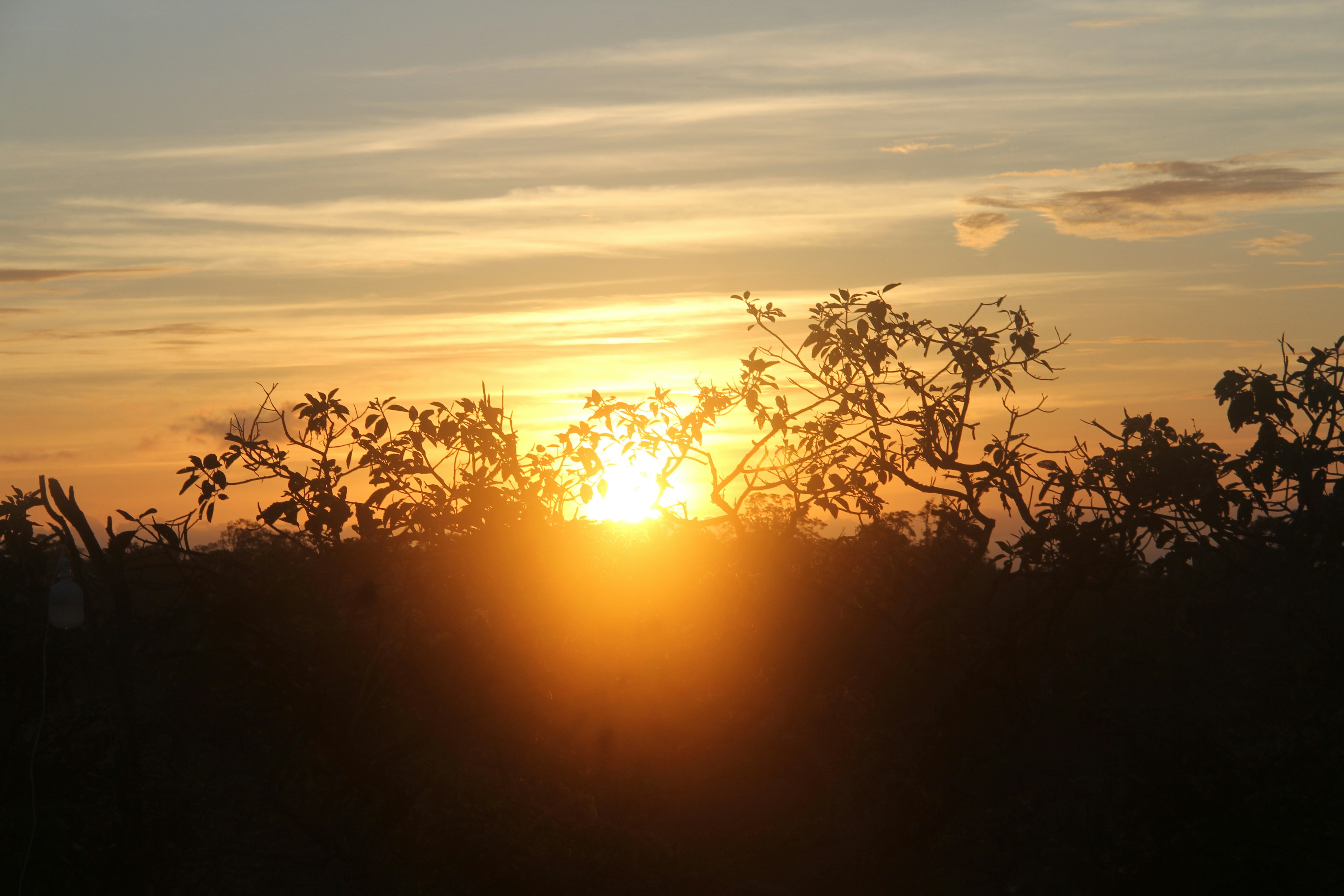 Imágenes de Hermosa Mañana | Descarga imágenes gratuitas en Unsplash, image size:3000x2000