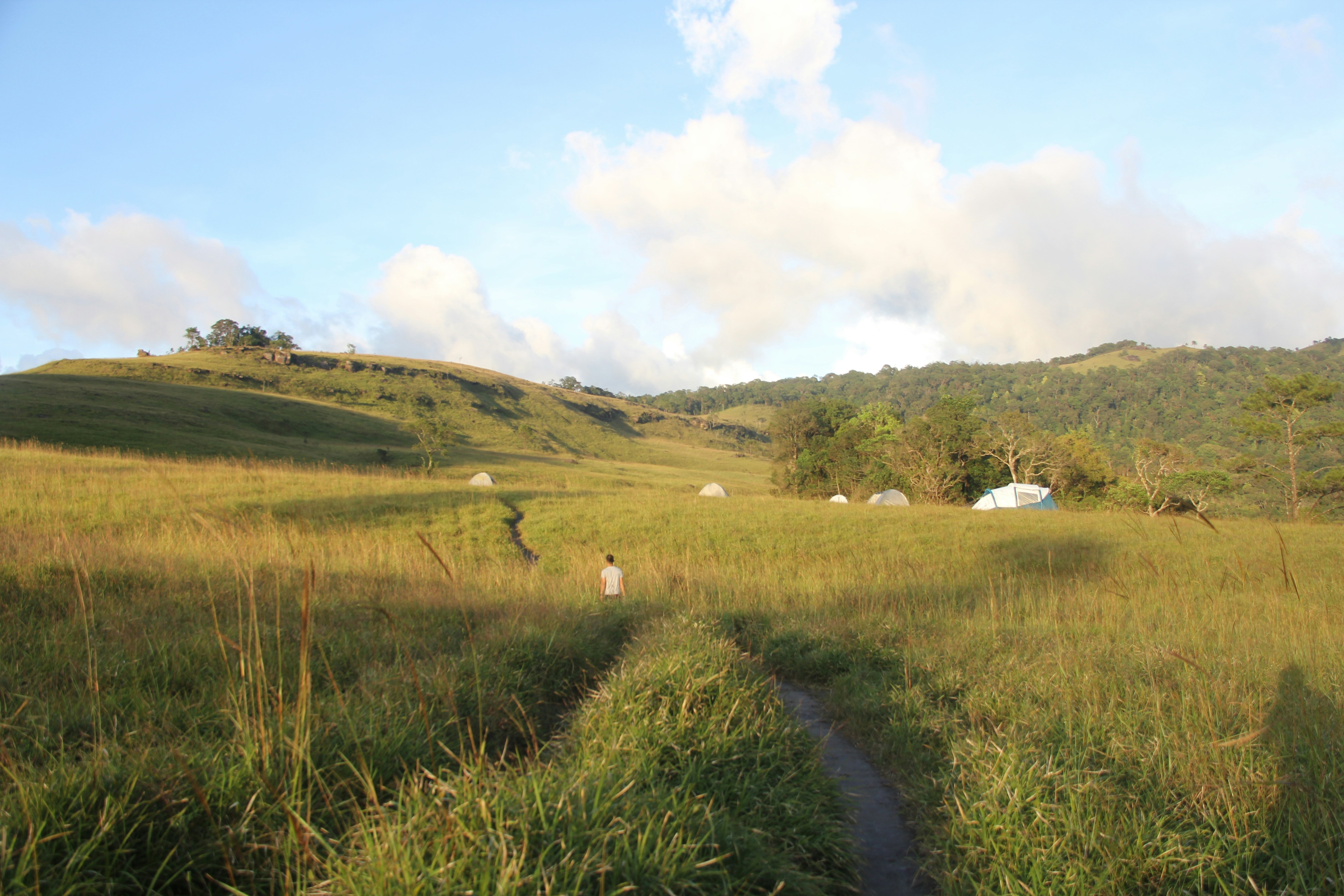 un campo cubierto de hierba con un pequeño arroyo que lo atraviesa