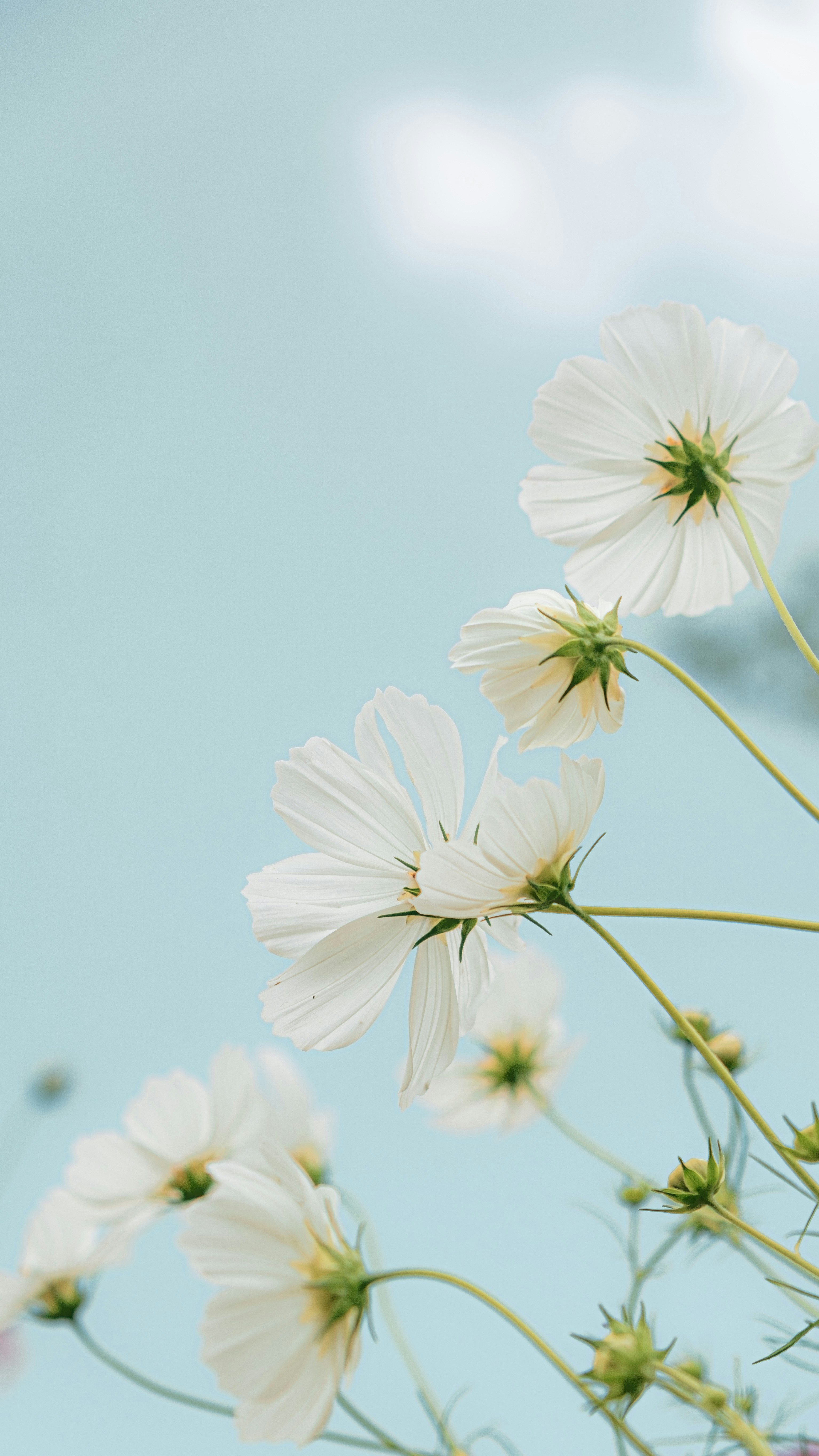 Photo by xiexianghua