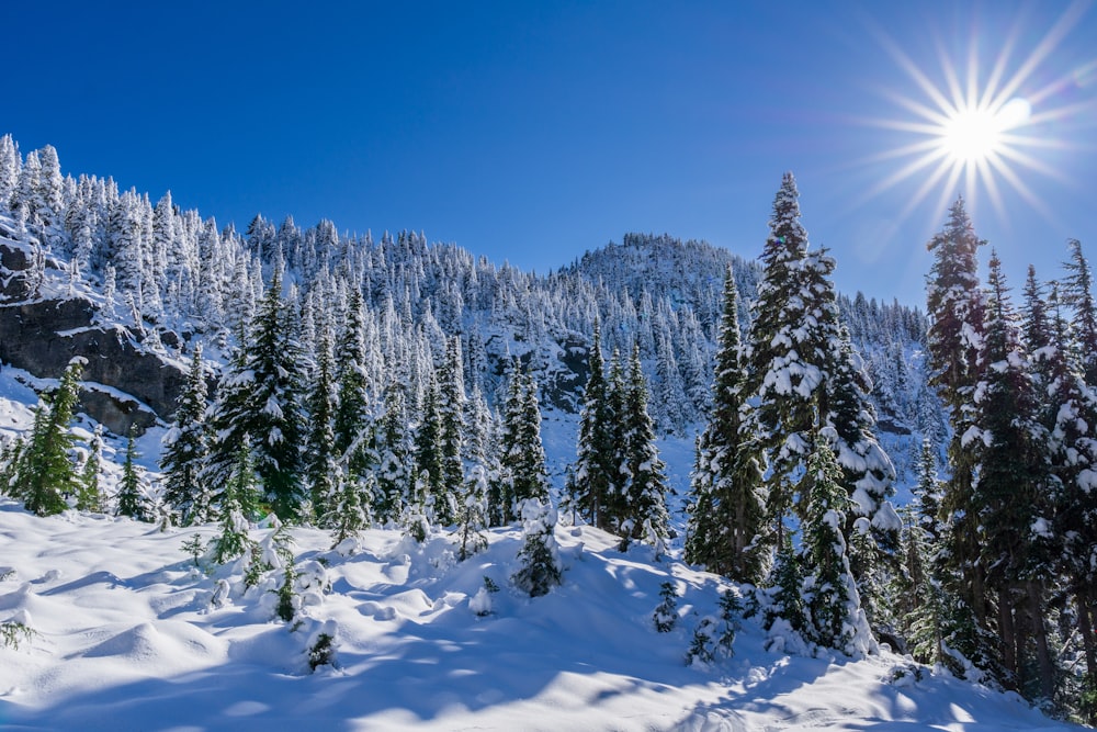 the sun shines brightly over a snowy mountain