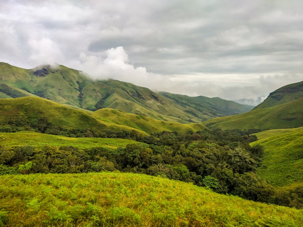 a lush green valley with mountains in the background