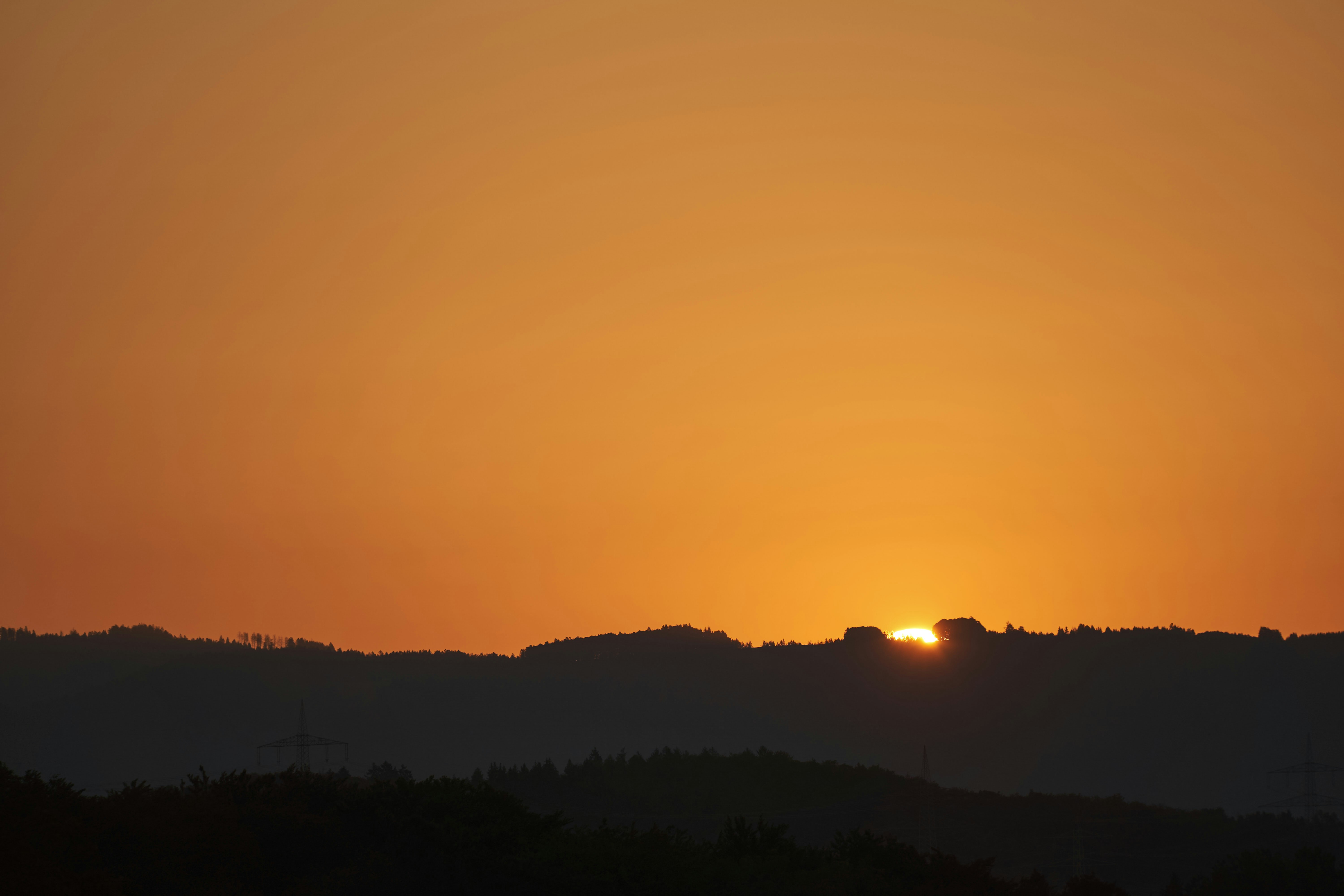 Photo by wolfgang_hasselmann