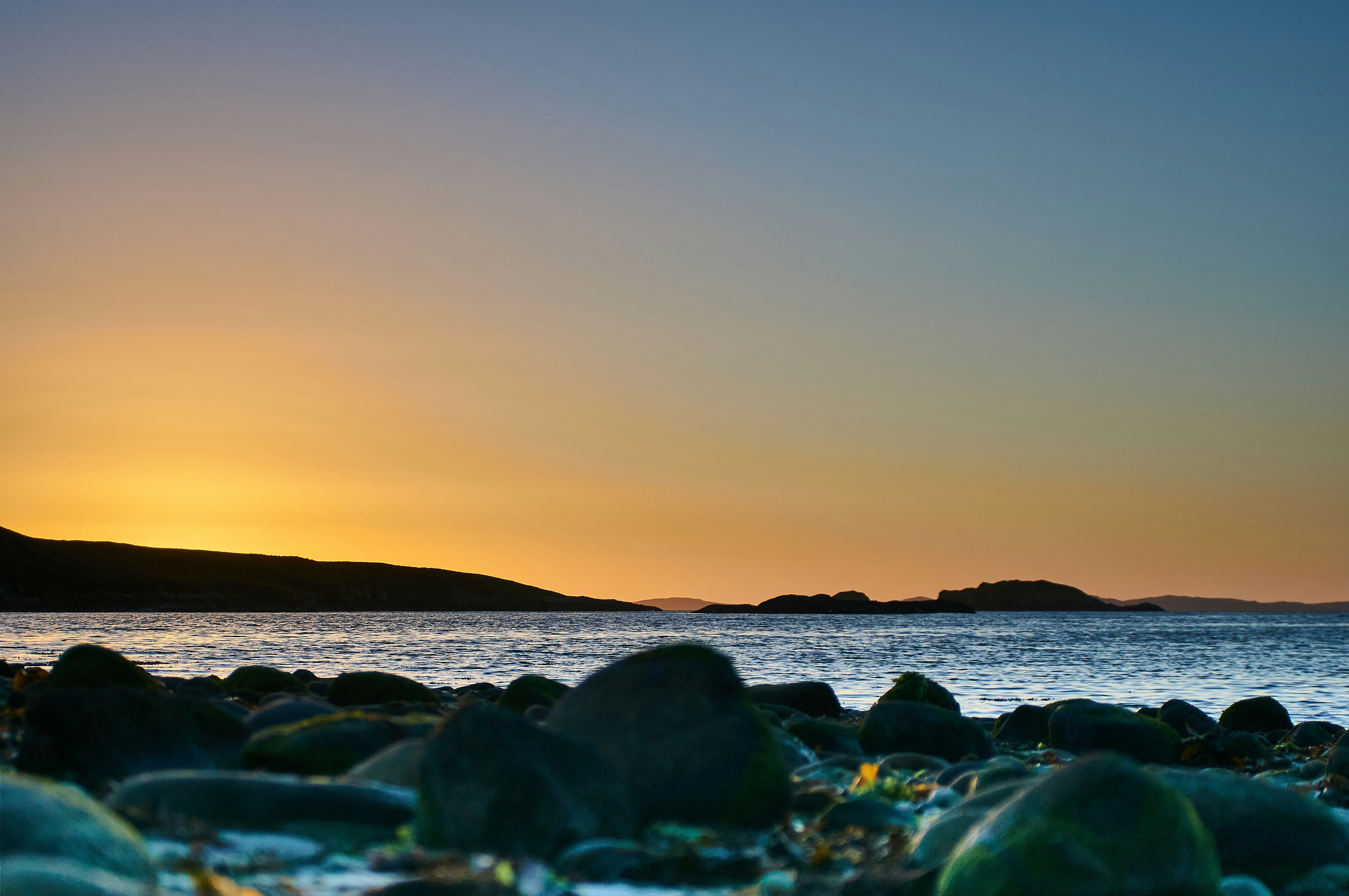 Photo by wolfgang_hasselmann