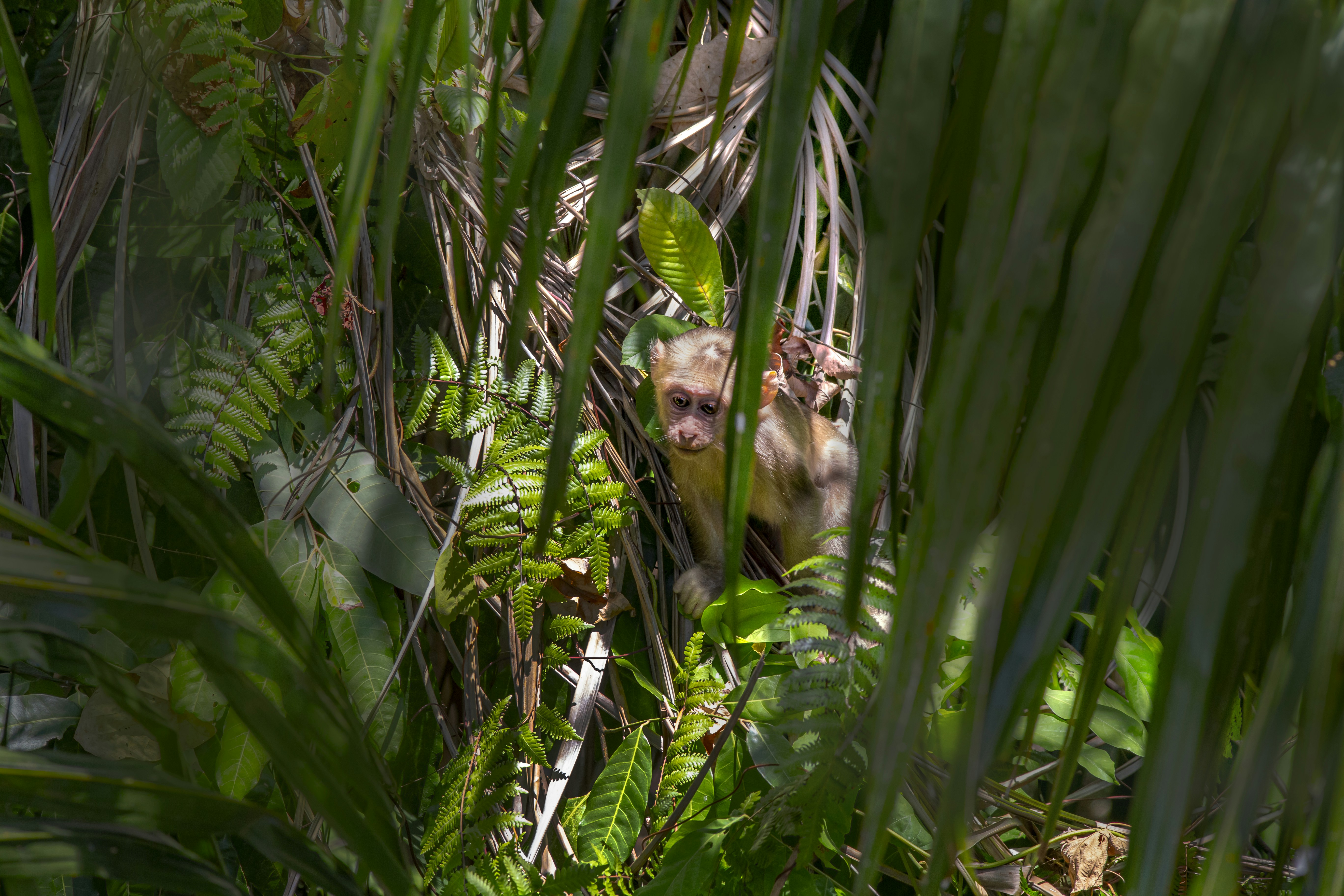 Photo by erik_karits