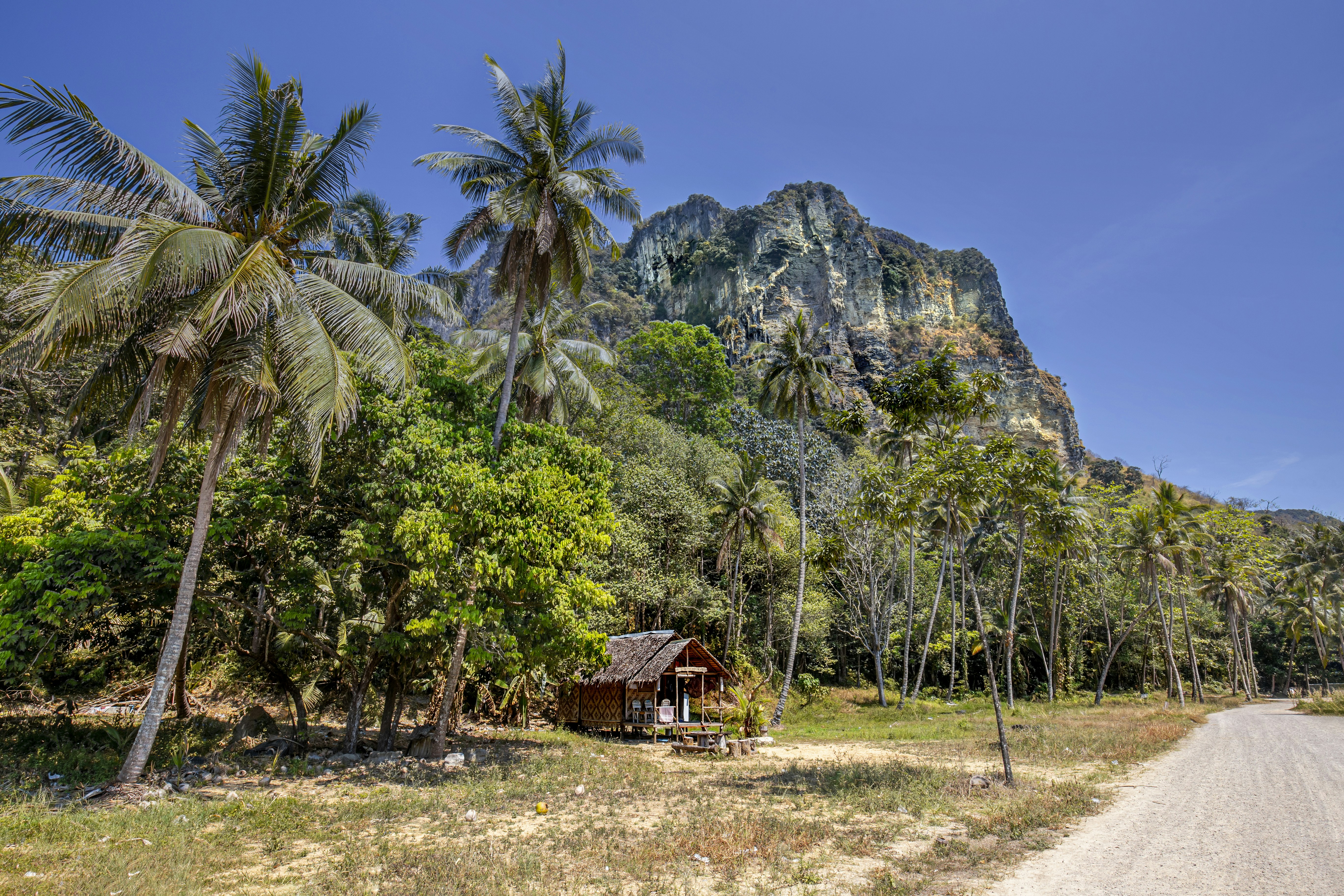 Photo by erik_karits