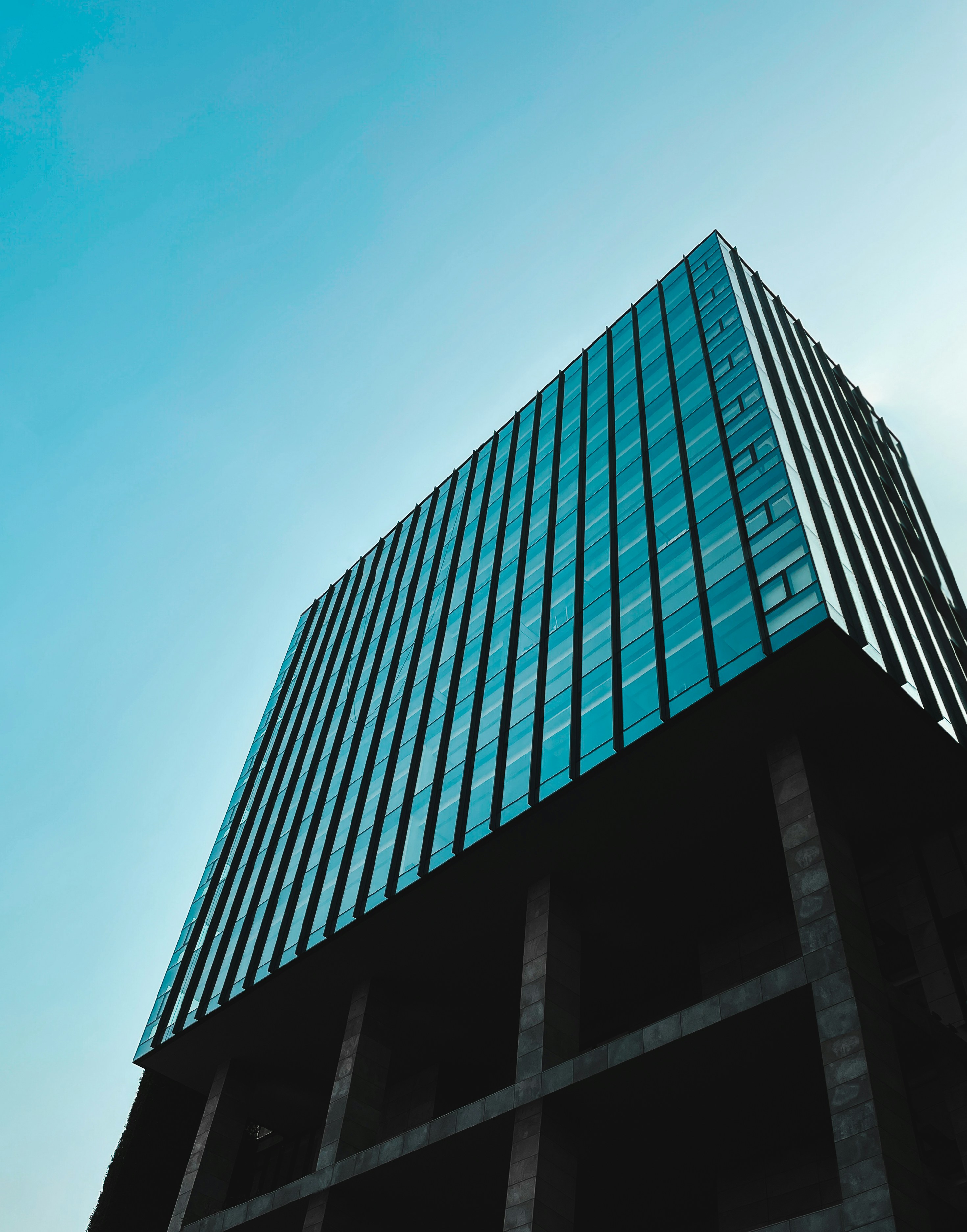 Photo by behy_studio