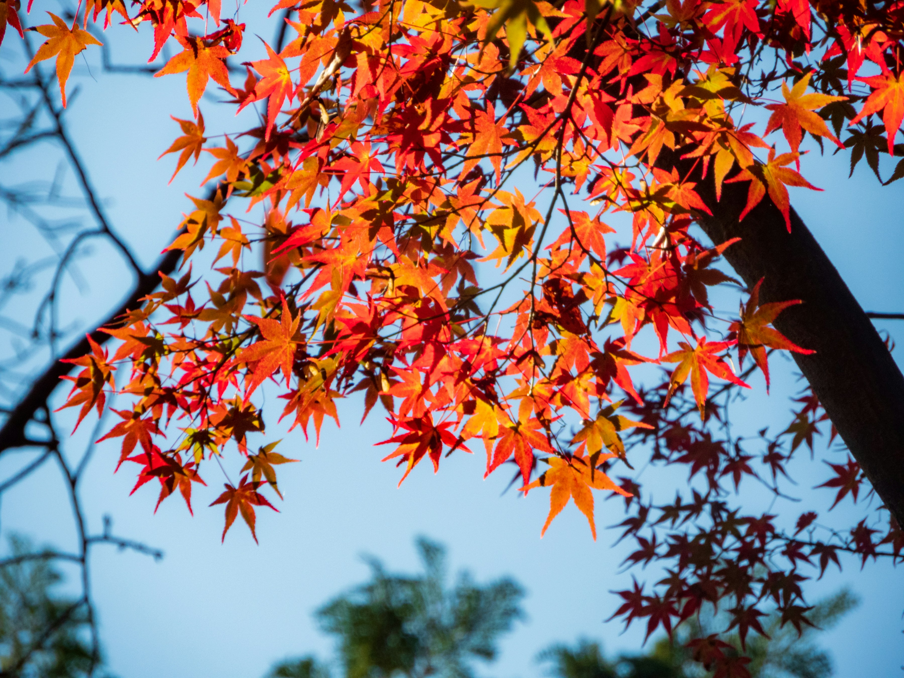 Photo by heppoko_yama