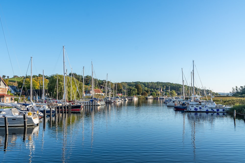 a harbor filled with lots of boats on a sunny day