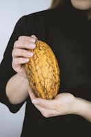 A pair of hands carefully holding a ripe, marbled yellow and brown cocoa pod against a dark background.
