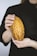 A pair of hands carefully holding a ripe, marbled yellow and brown cocoa pod against a dark background.