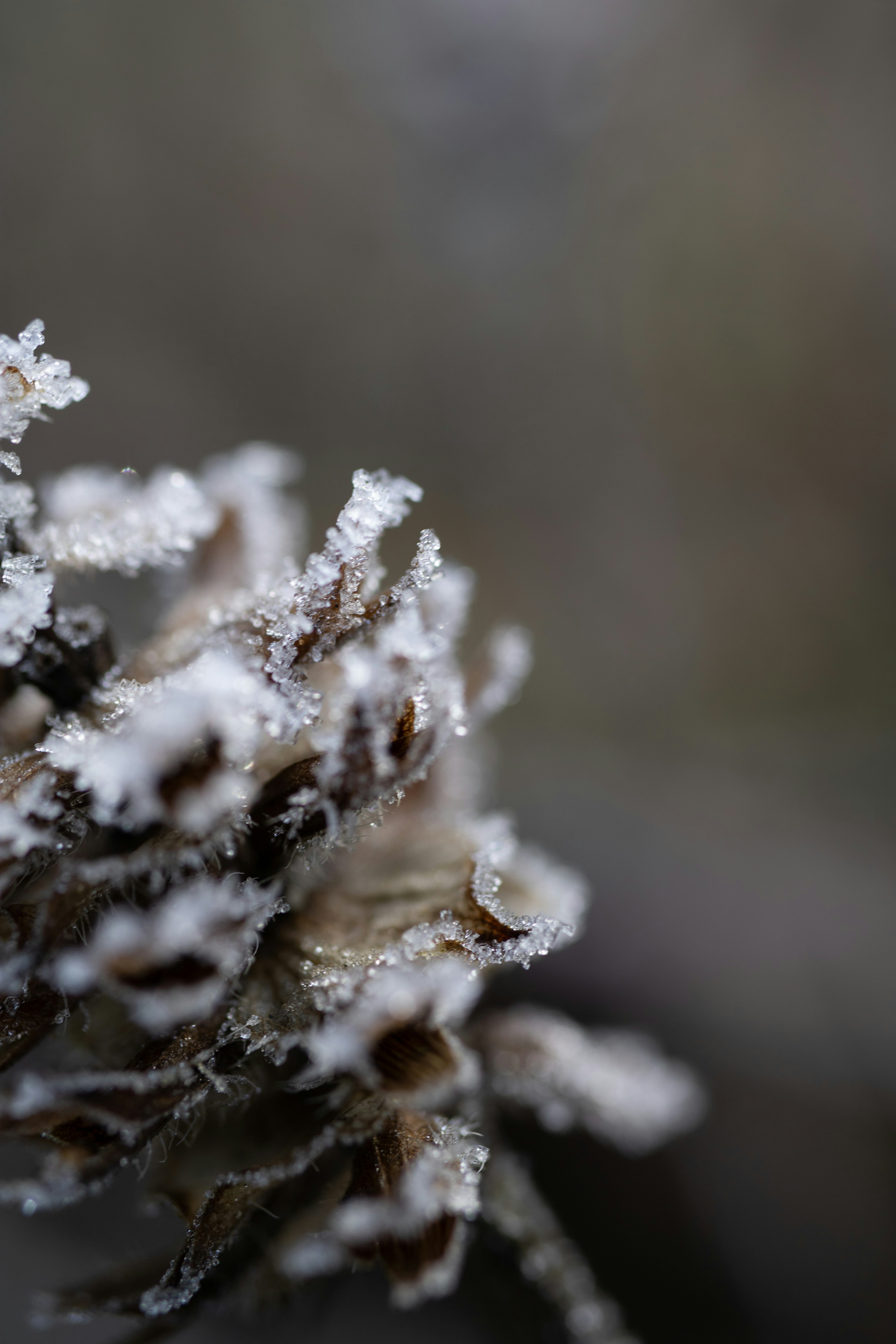 Photo by earthfulmoments