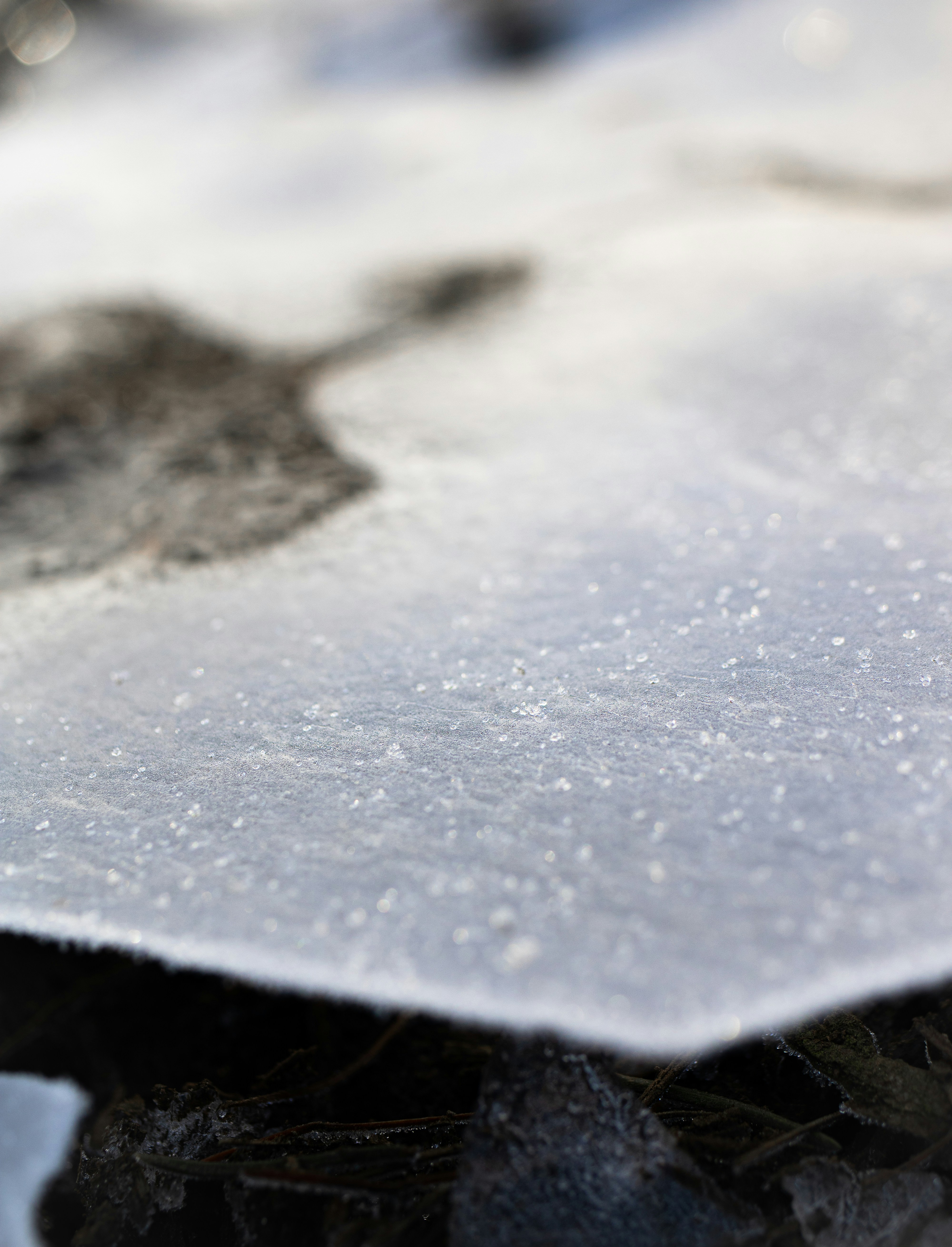 Photo by earthfulmoments