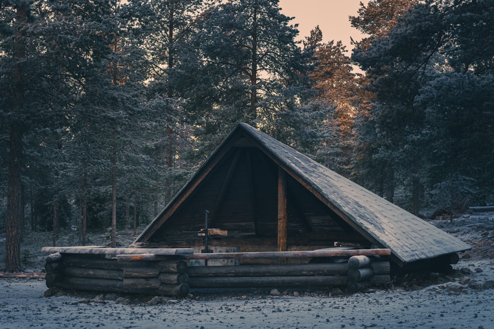 a small cabin in the middle of a forest