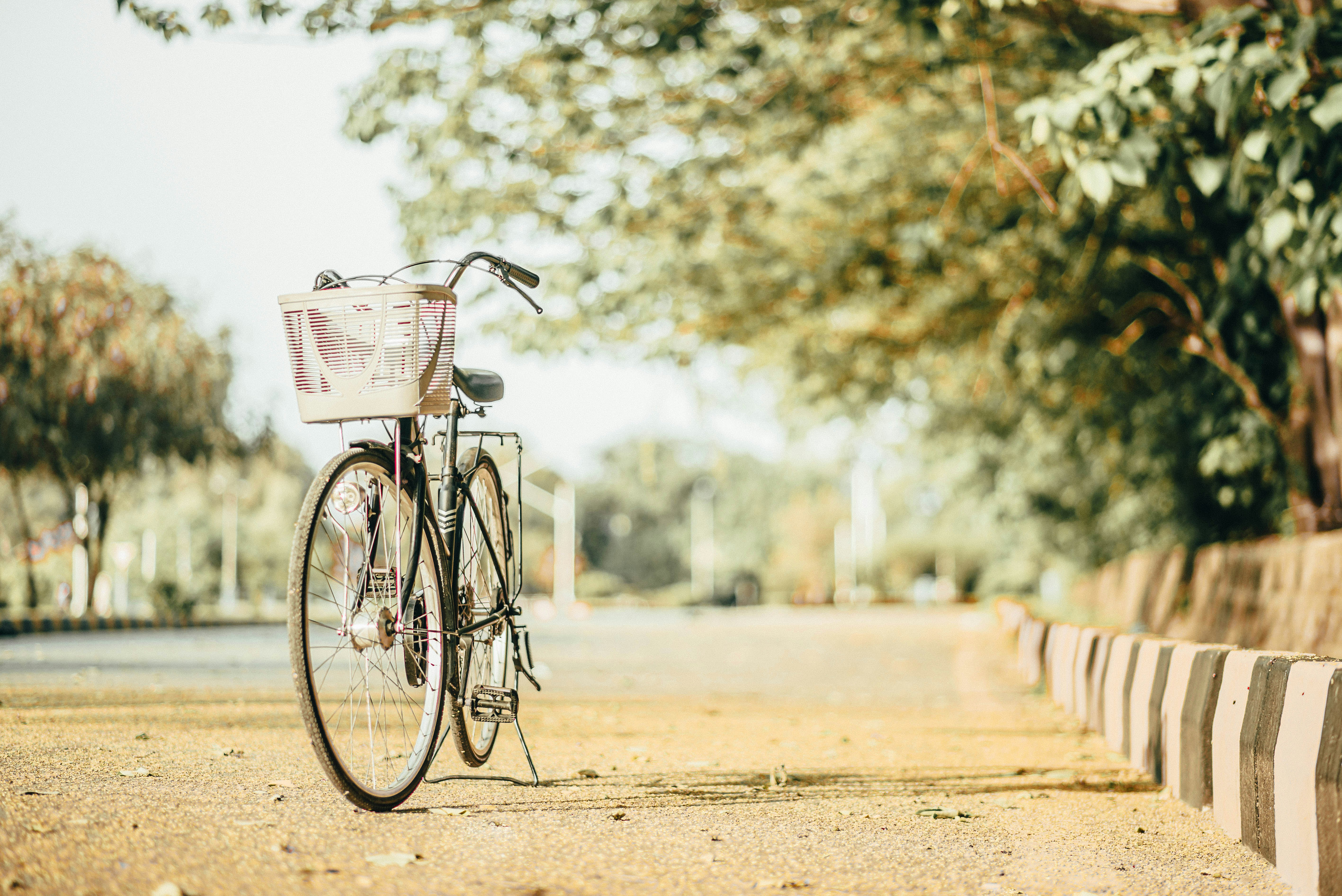 Photo by aali_jaffry