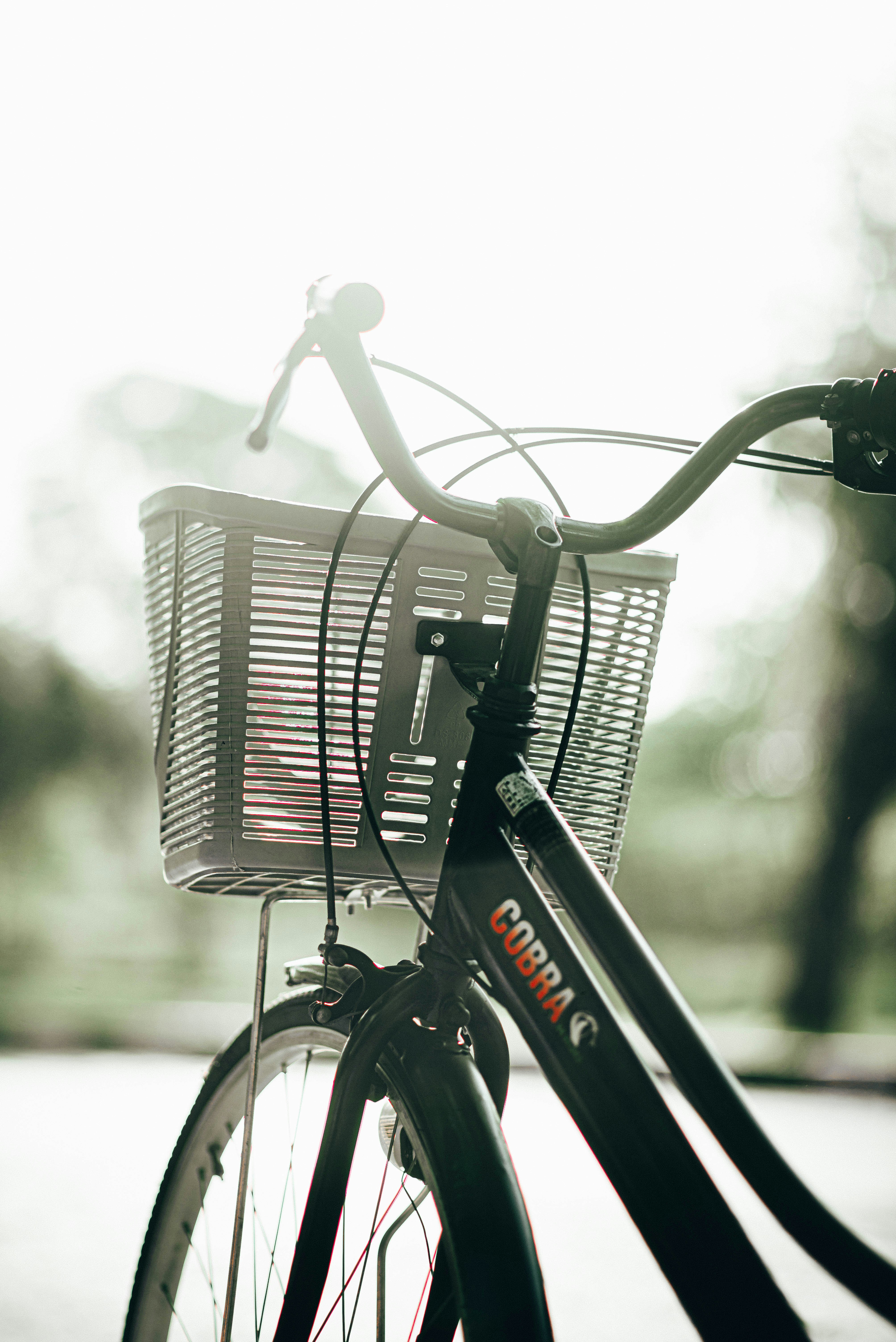 Photo by aali_jaffry