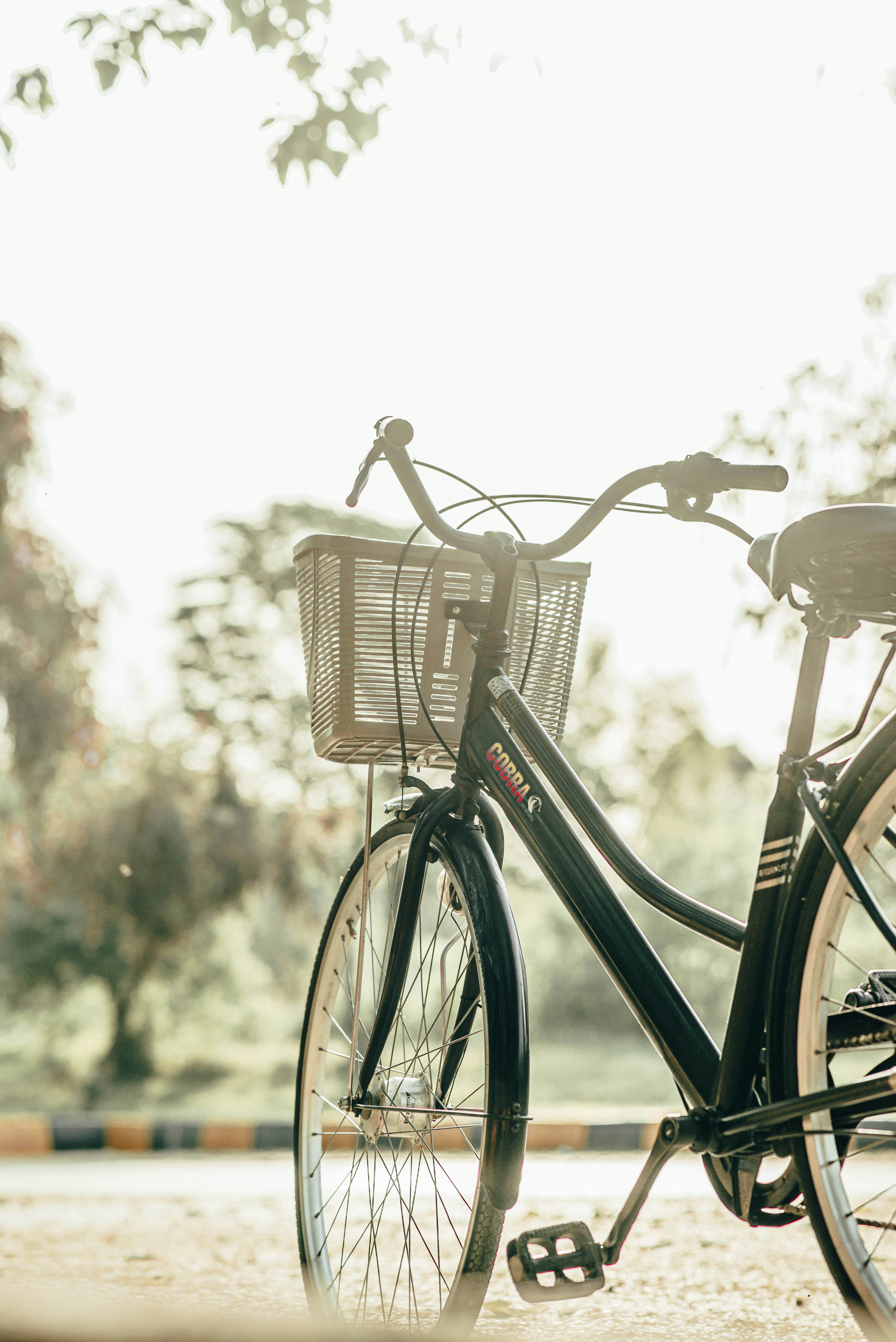 Photo by aali_jaffry