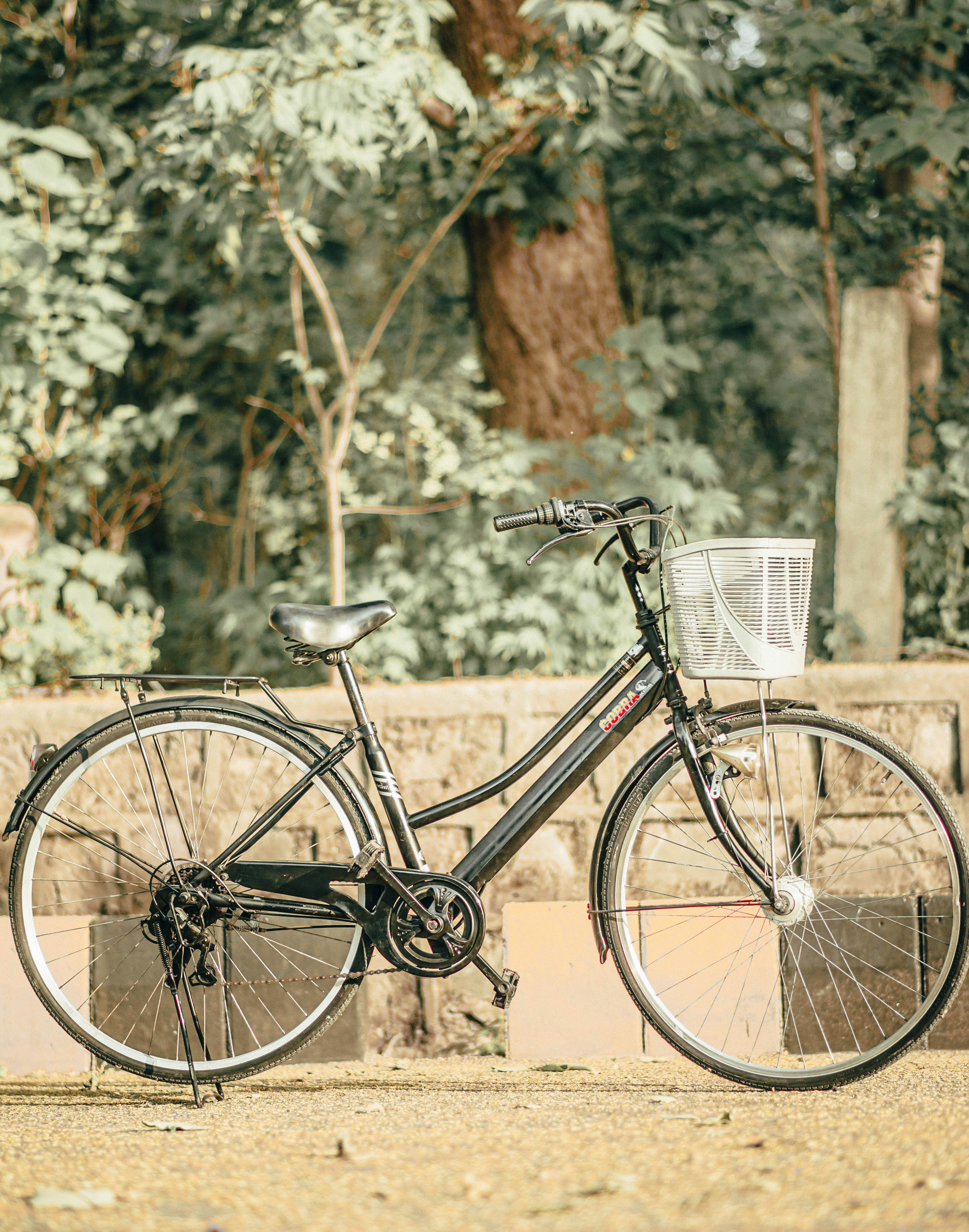 Photo by aali_jaffry