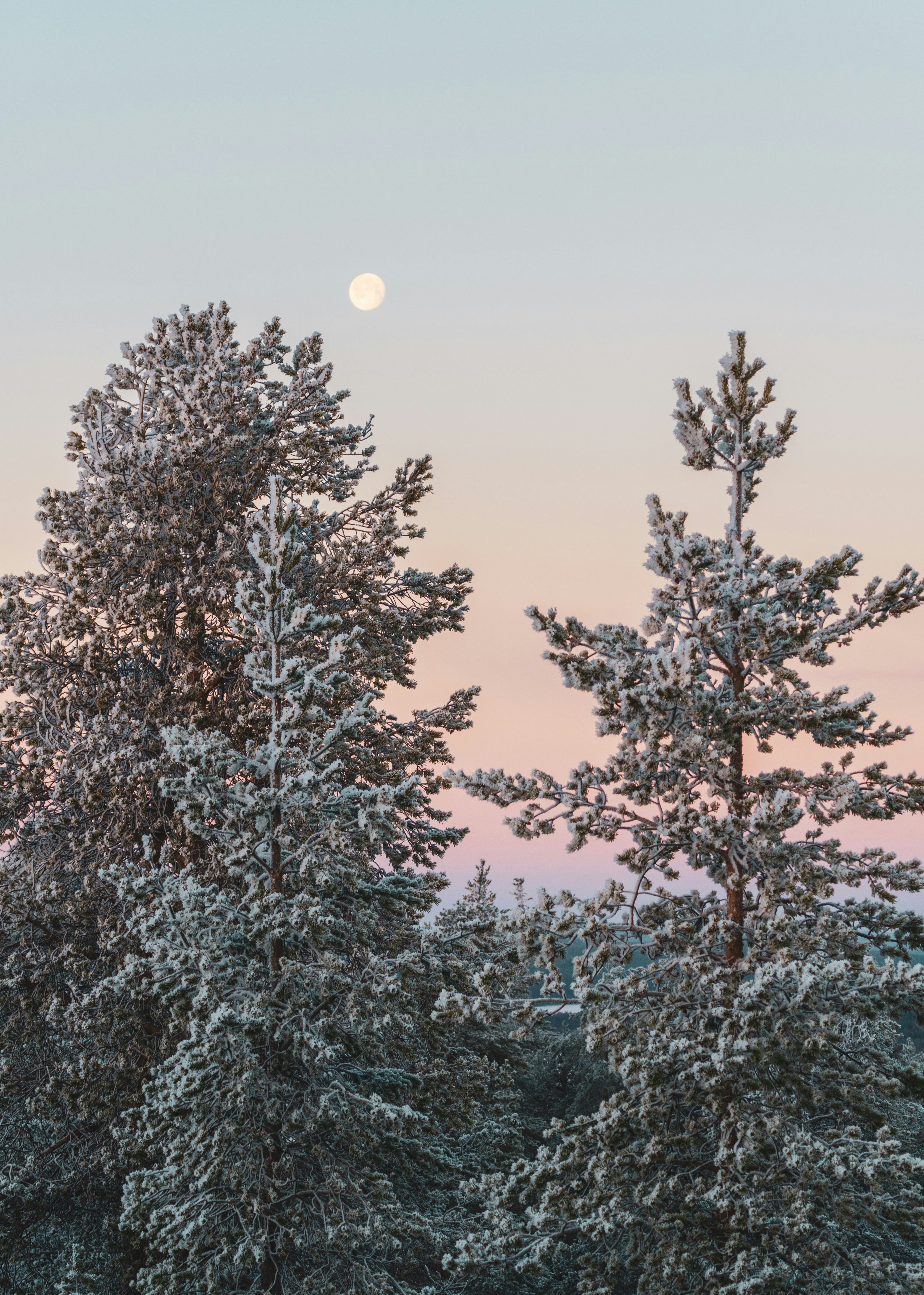Photo by tombrunberg