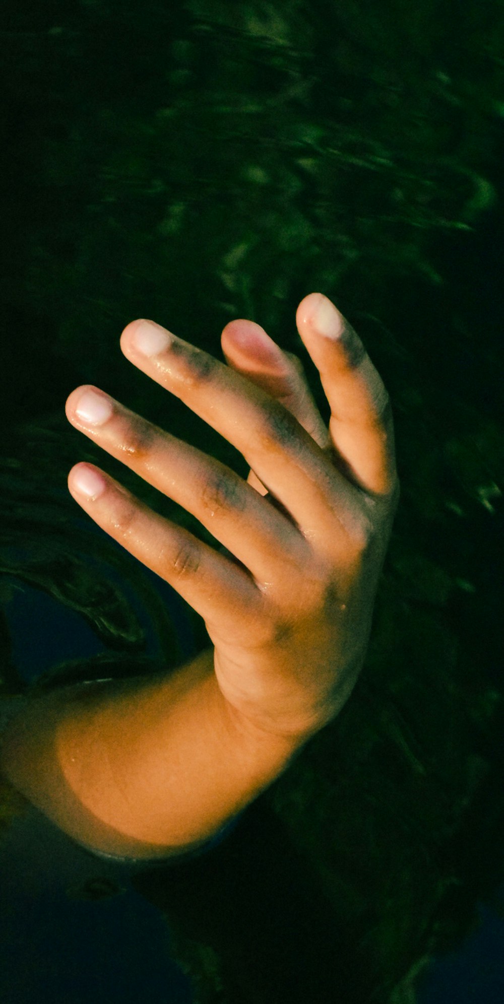 a person's hand reaching for a frisbee in the water