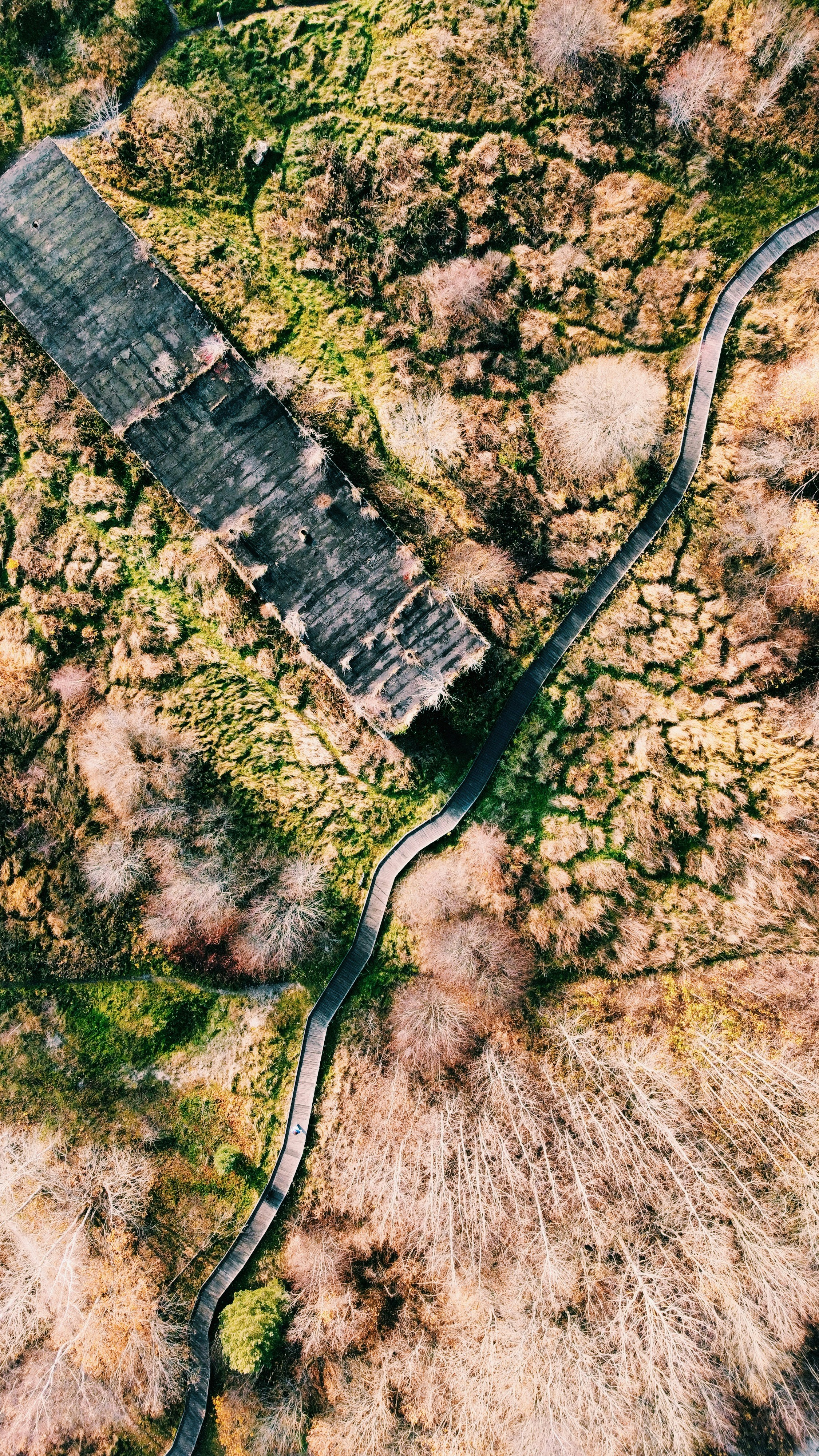 Photo by matheusfrade