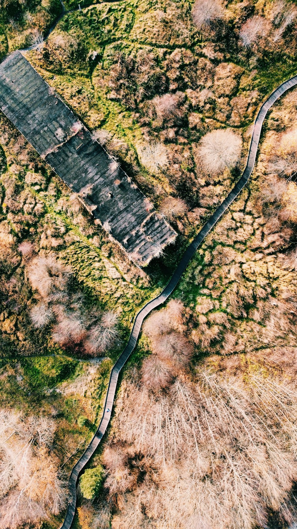 an aerial view of a dirt road in the middle of a field