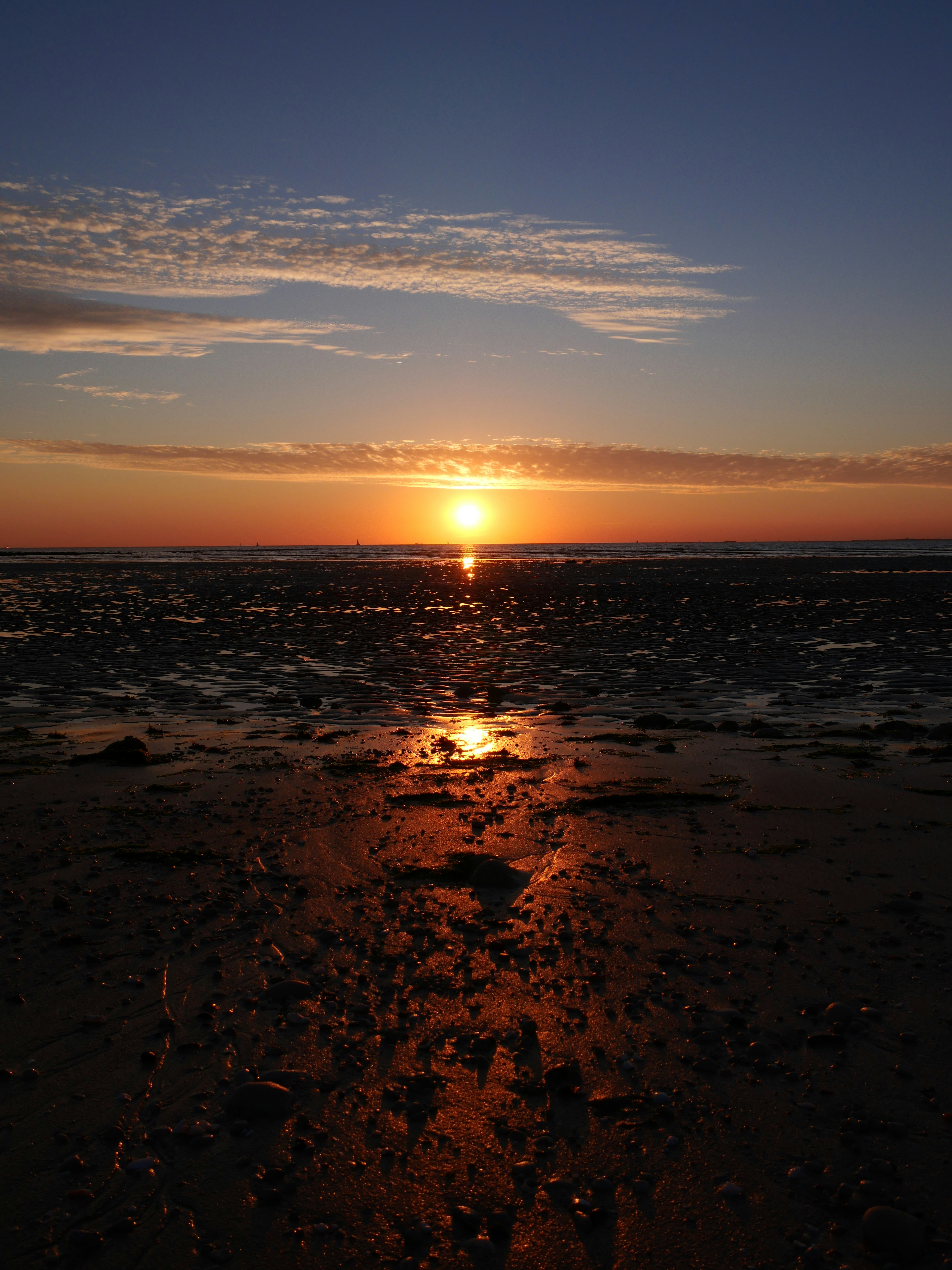 Photo by nimbus_vulpis