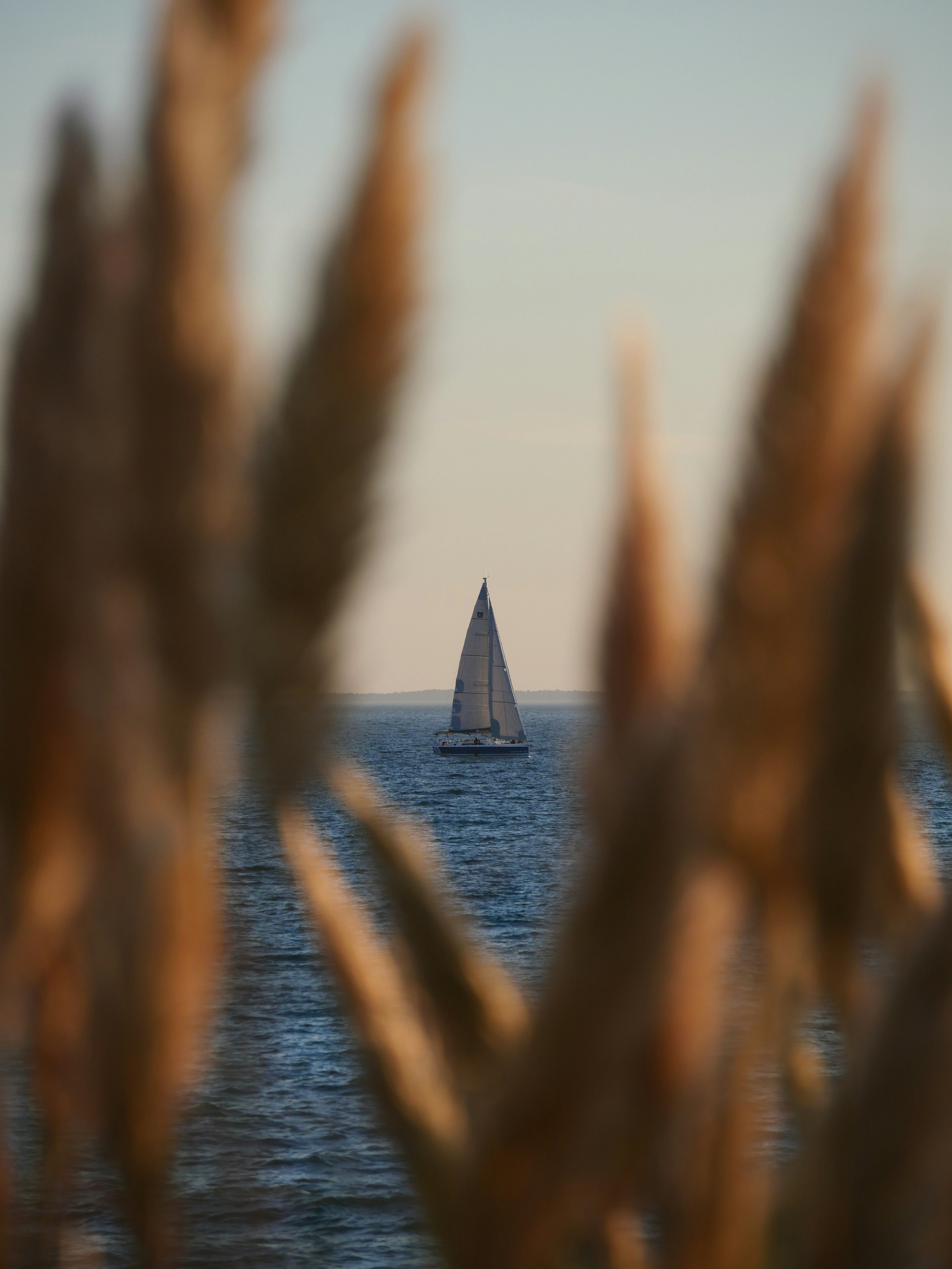 a sailboat is in the distance on the water
