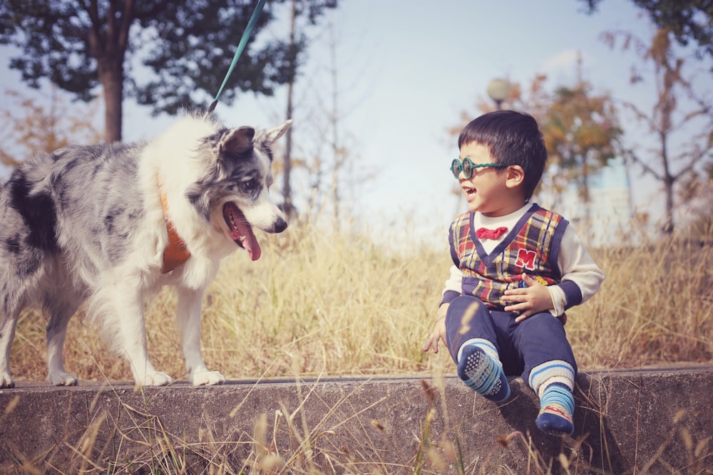 犬の隣の棚に座っている小さな男の子