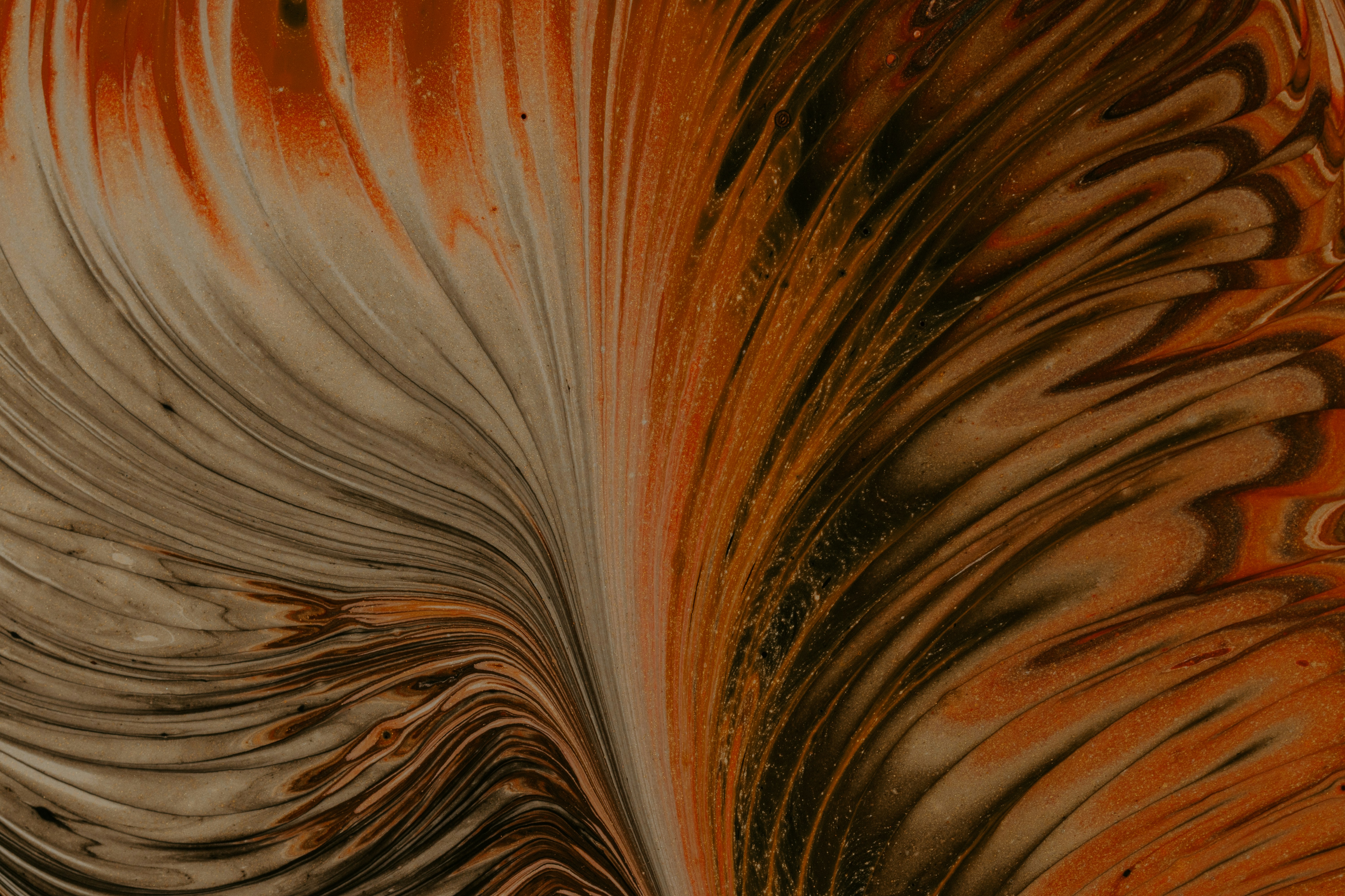 Photo by pawel_czerwinski