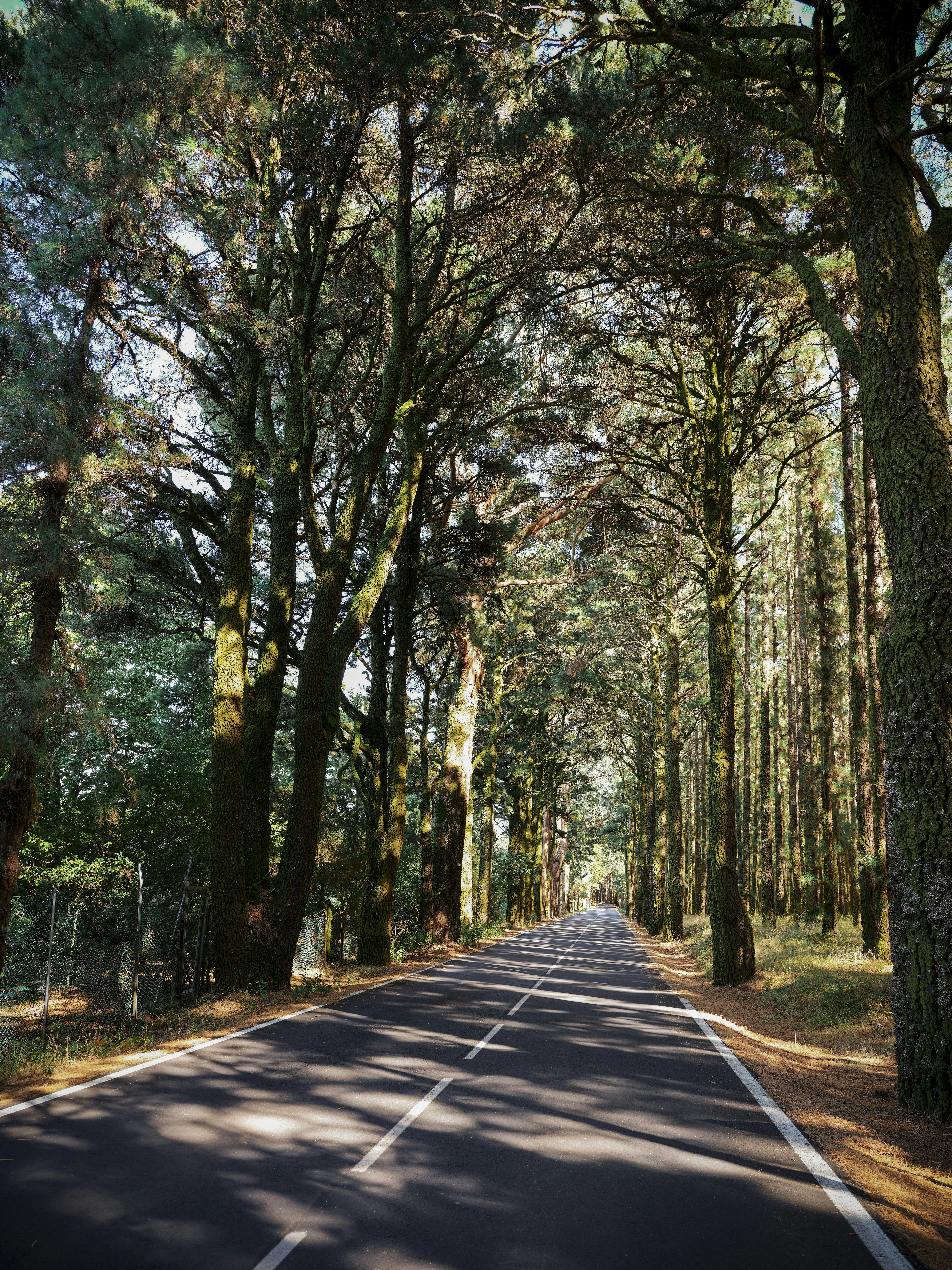 Photo by christianbuehner