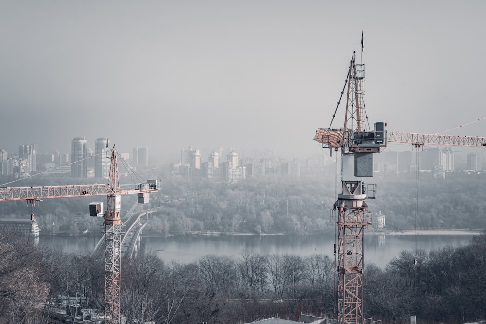 a crane stands in front of a city skyline