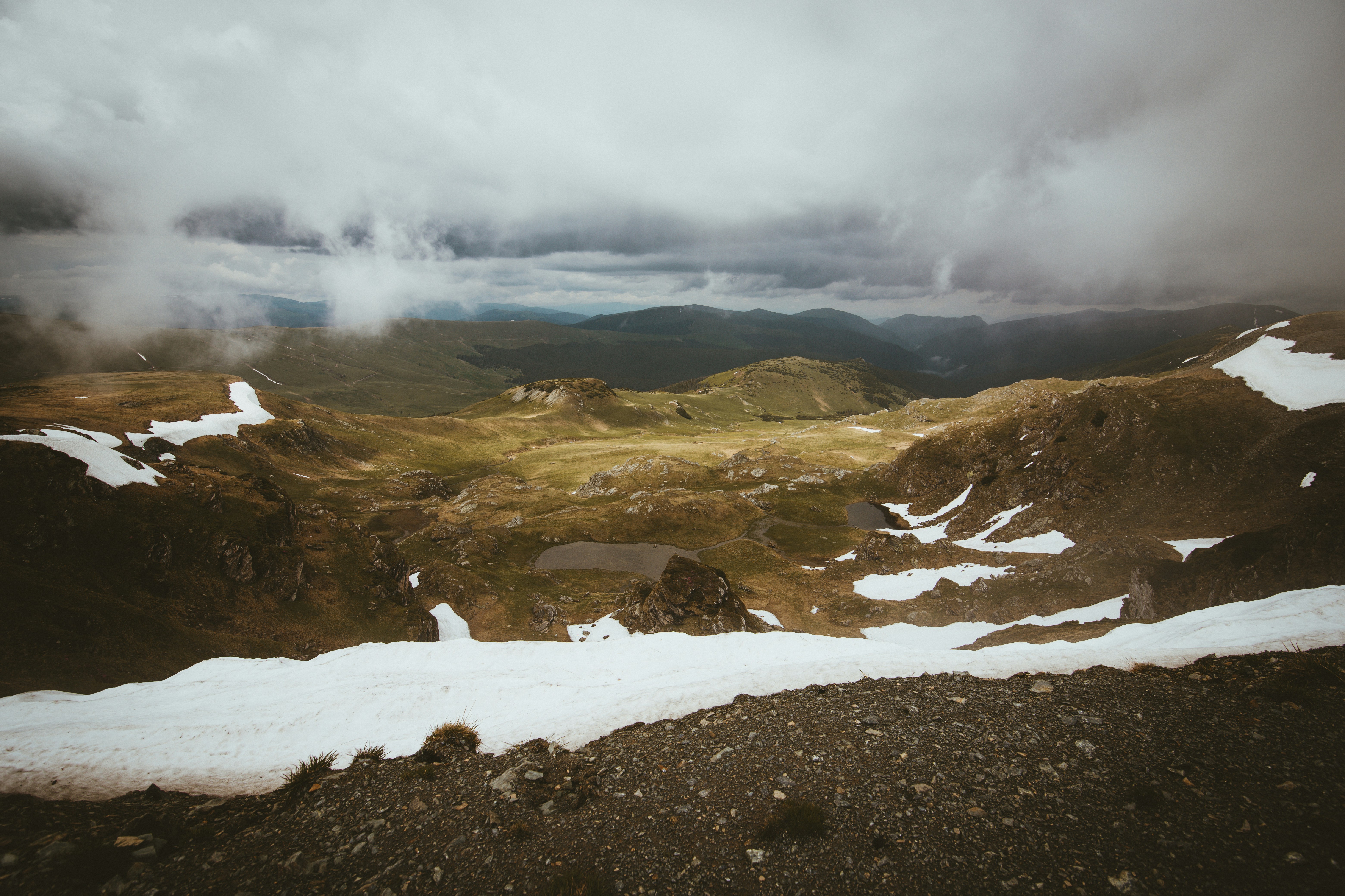 Photo by dumitrasconiudesign