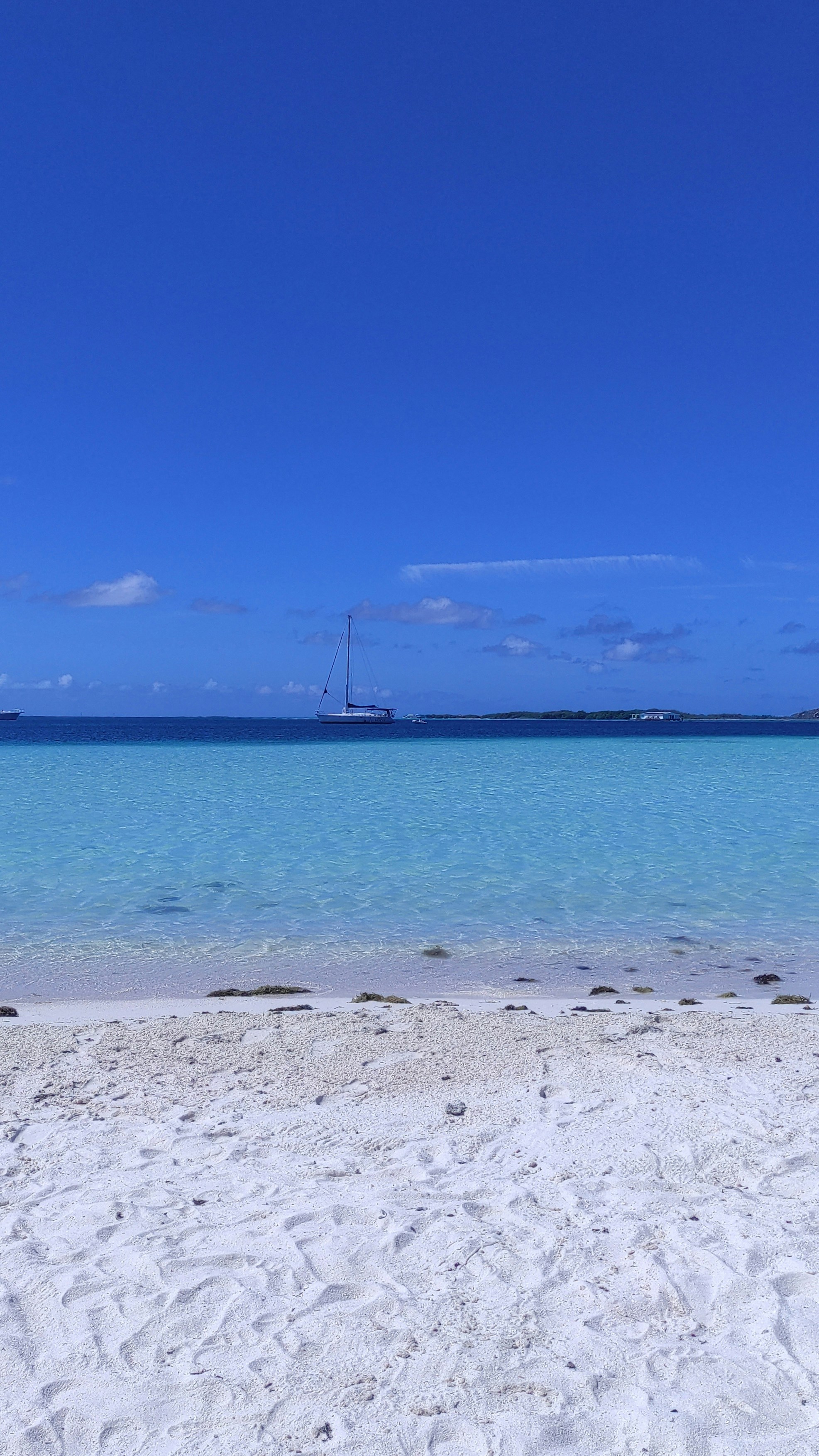 Photo by legallyguaricho