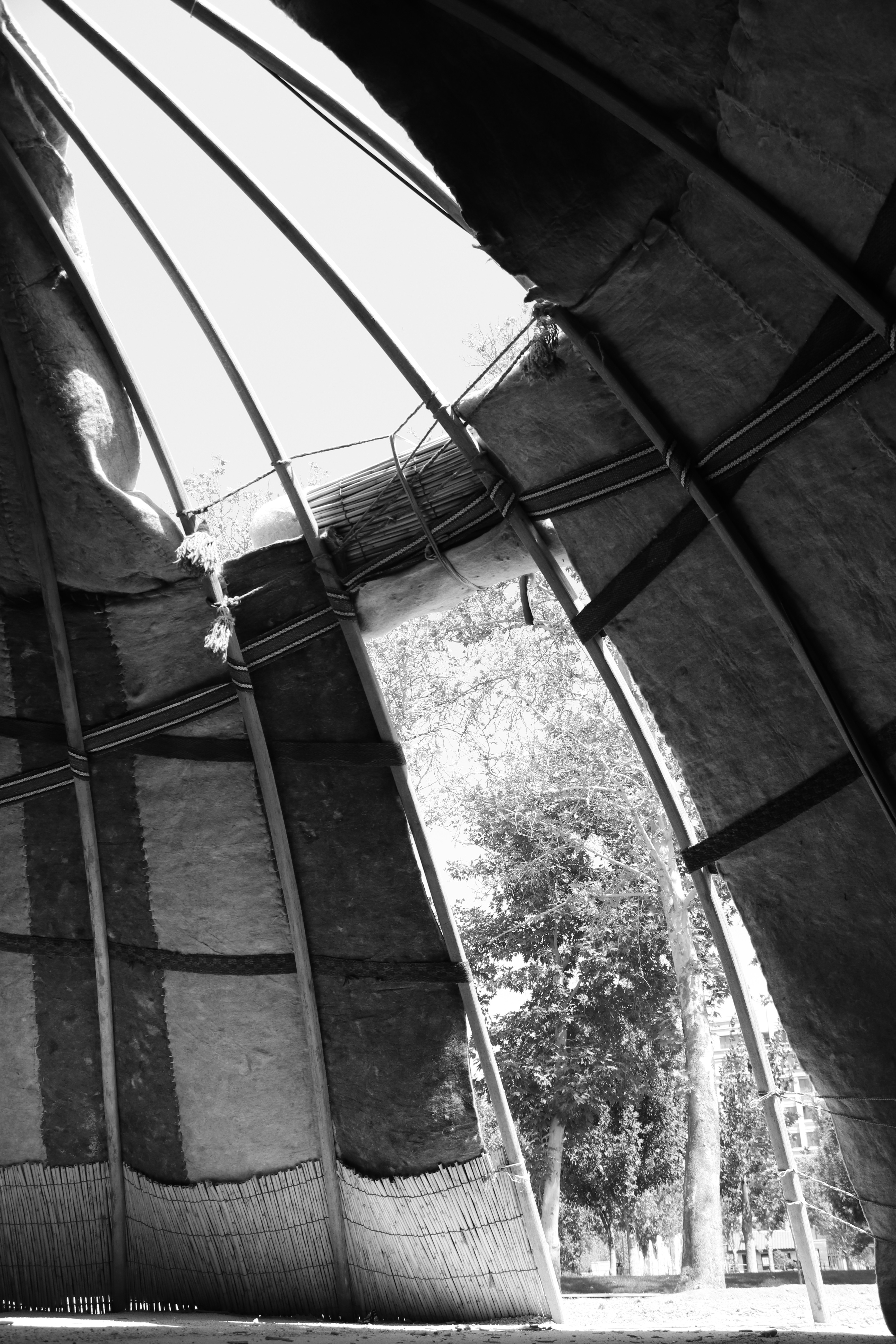 Photo by mahyar_mirghasmi