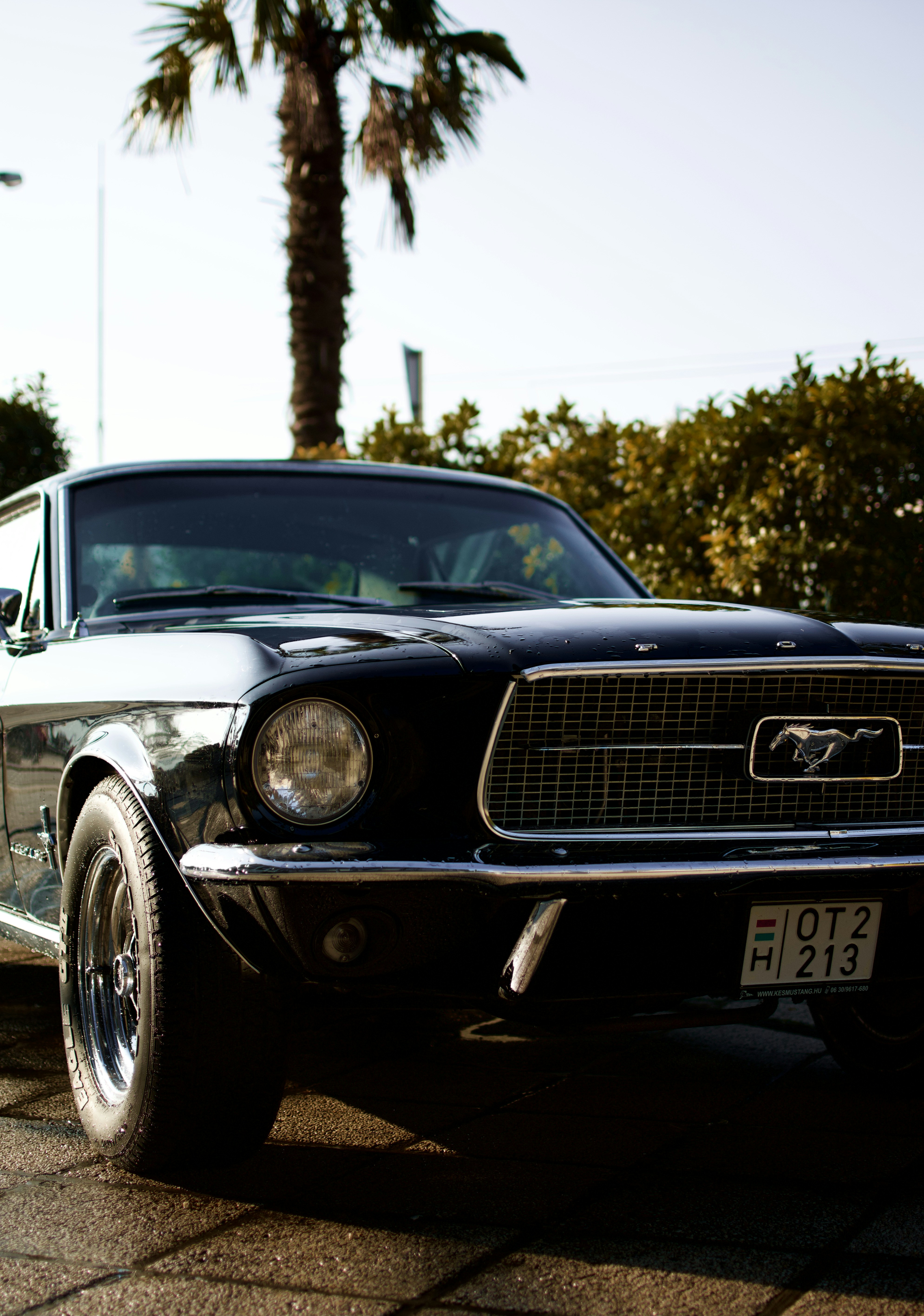 1967 Mustang GT