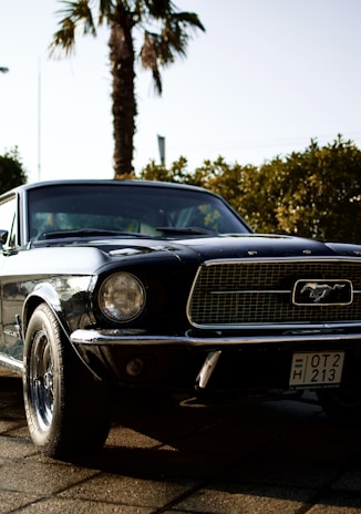 A gleaming red 1969 Mustang parked on a sunlit coastal road at golden hour.