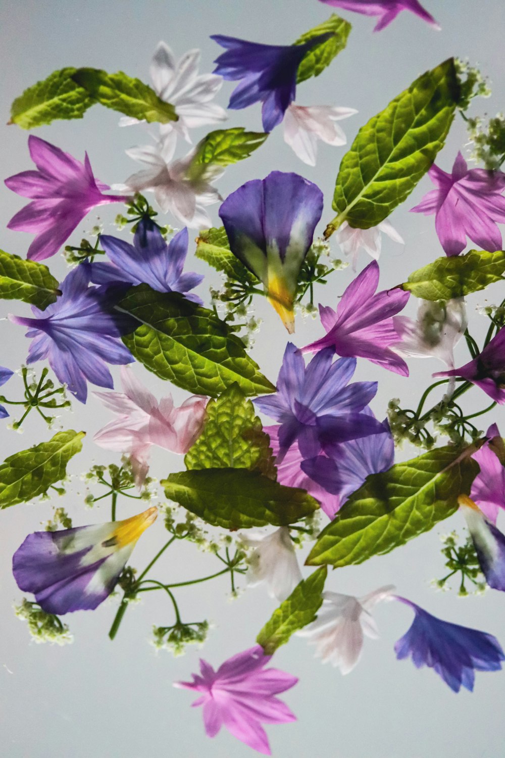 a bunch of purple and white flowers floating in the air